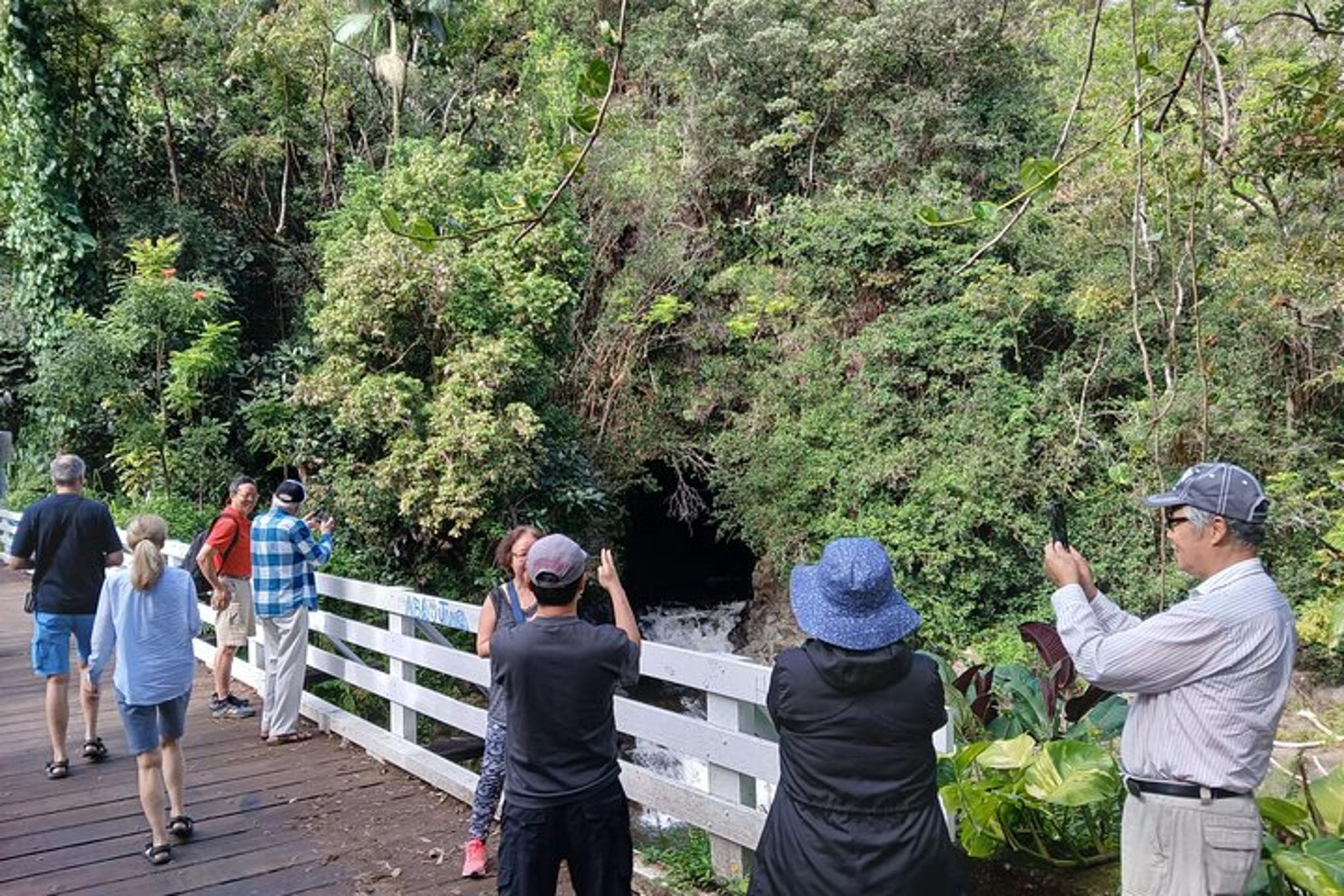 Hilo Volcano National Park Private Excursion - Image 4