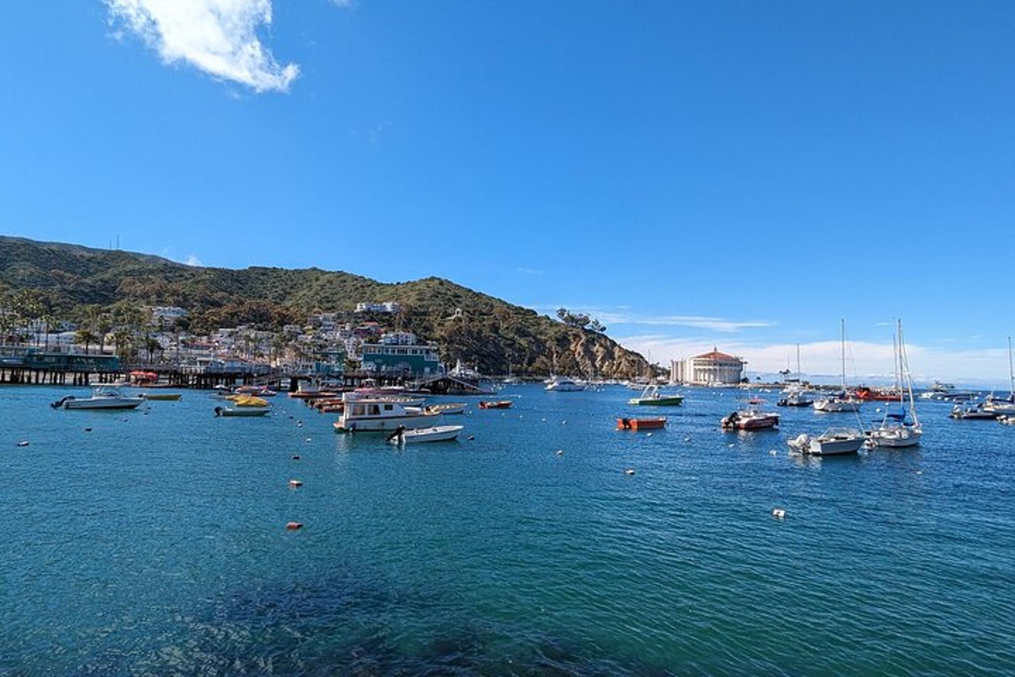 Avalon Scavenger Hunt Walking Tour