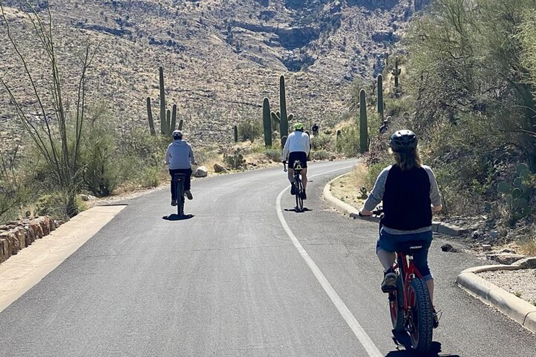 Tucson E-Bike Tour in Saguaro National Park - Image 4