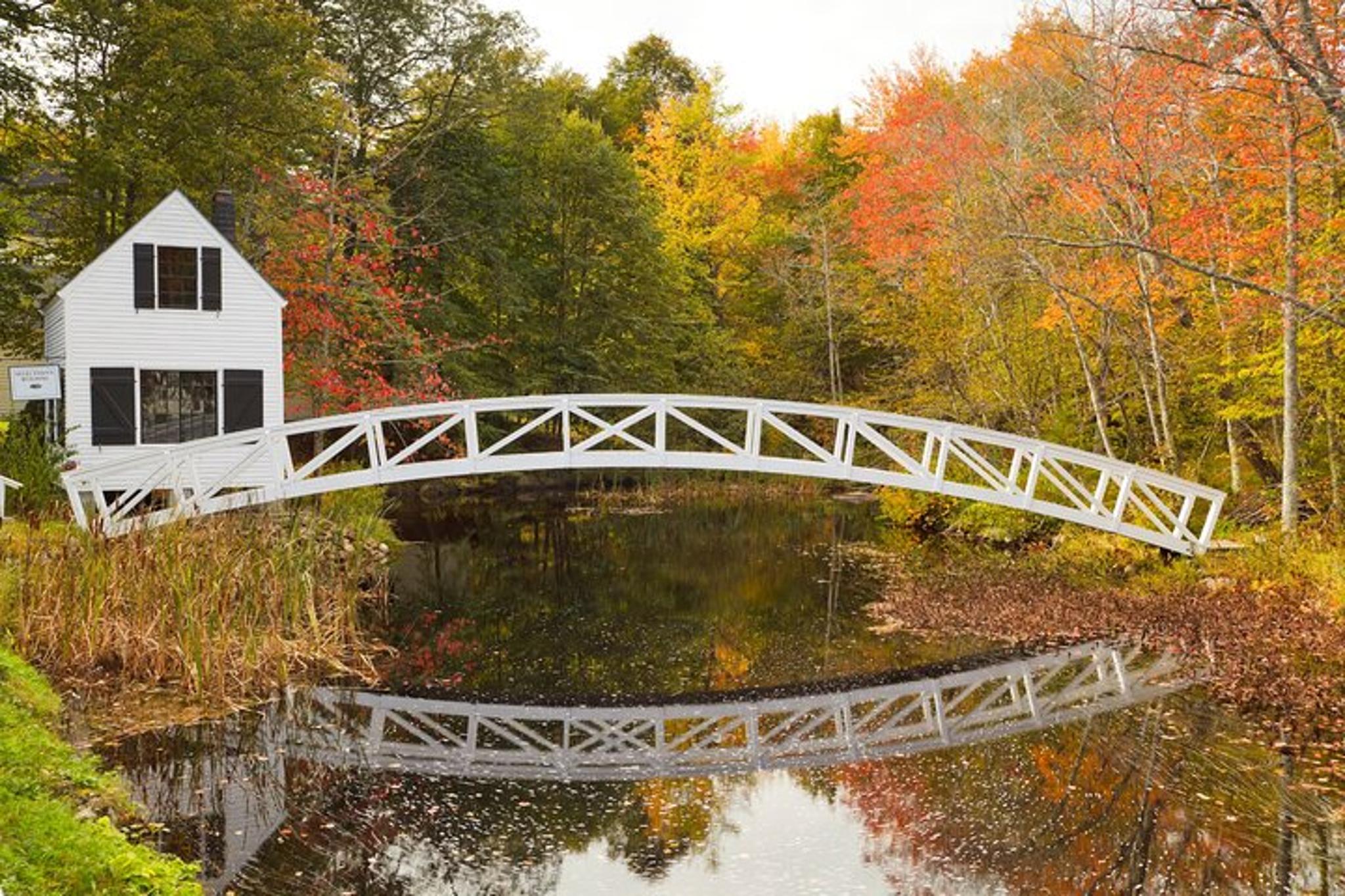 Acadia Private Tour Cadillac Mountain & Thunder Hole 4 hr - Image 4