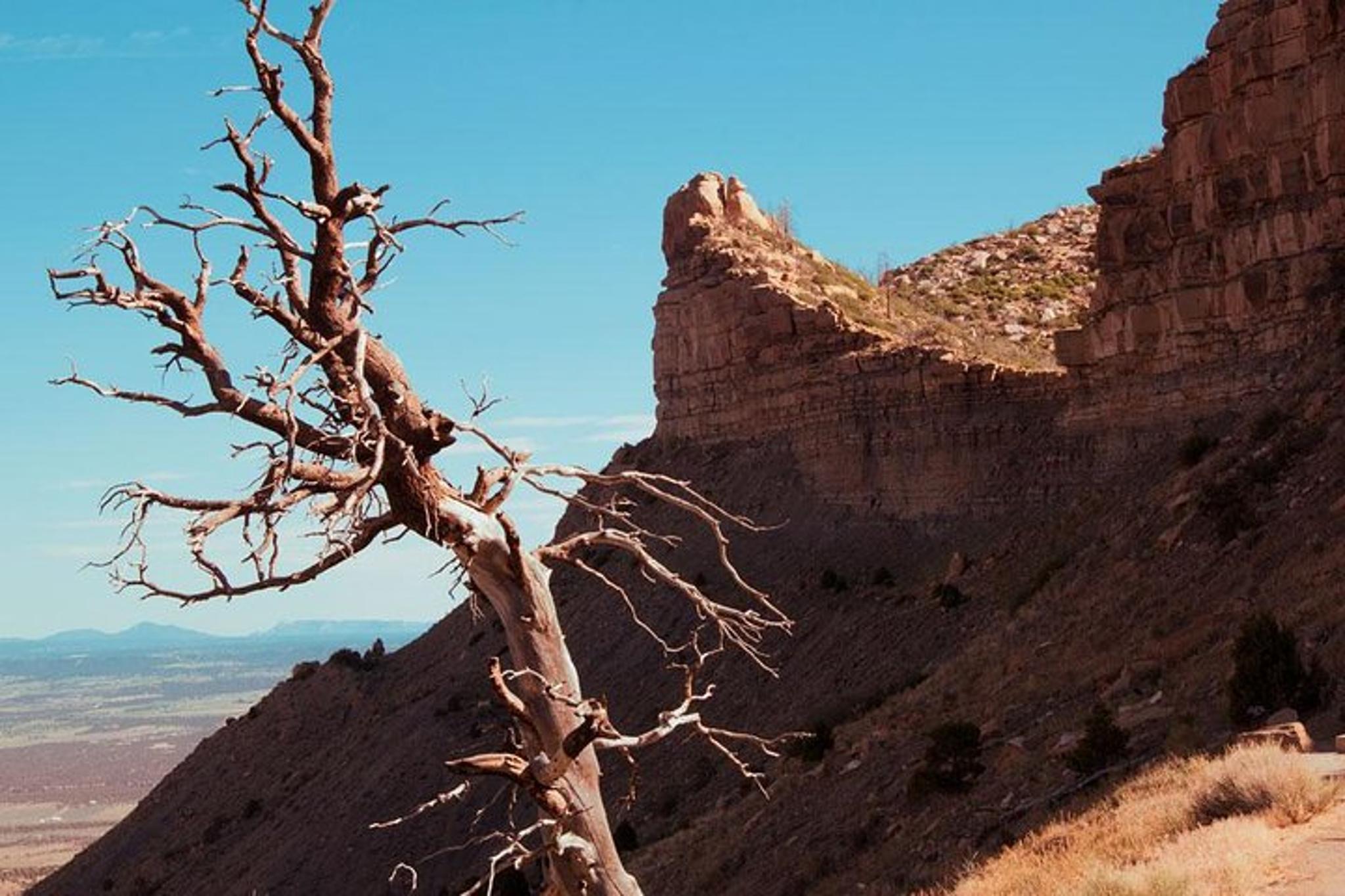 Mesa Verde National Park Tour - Image 5