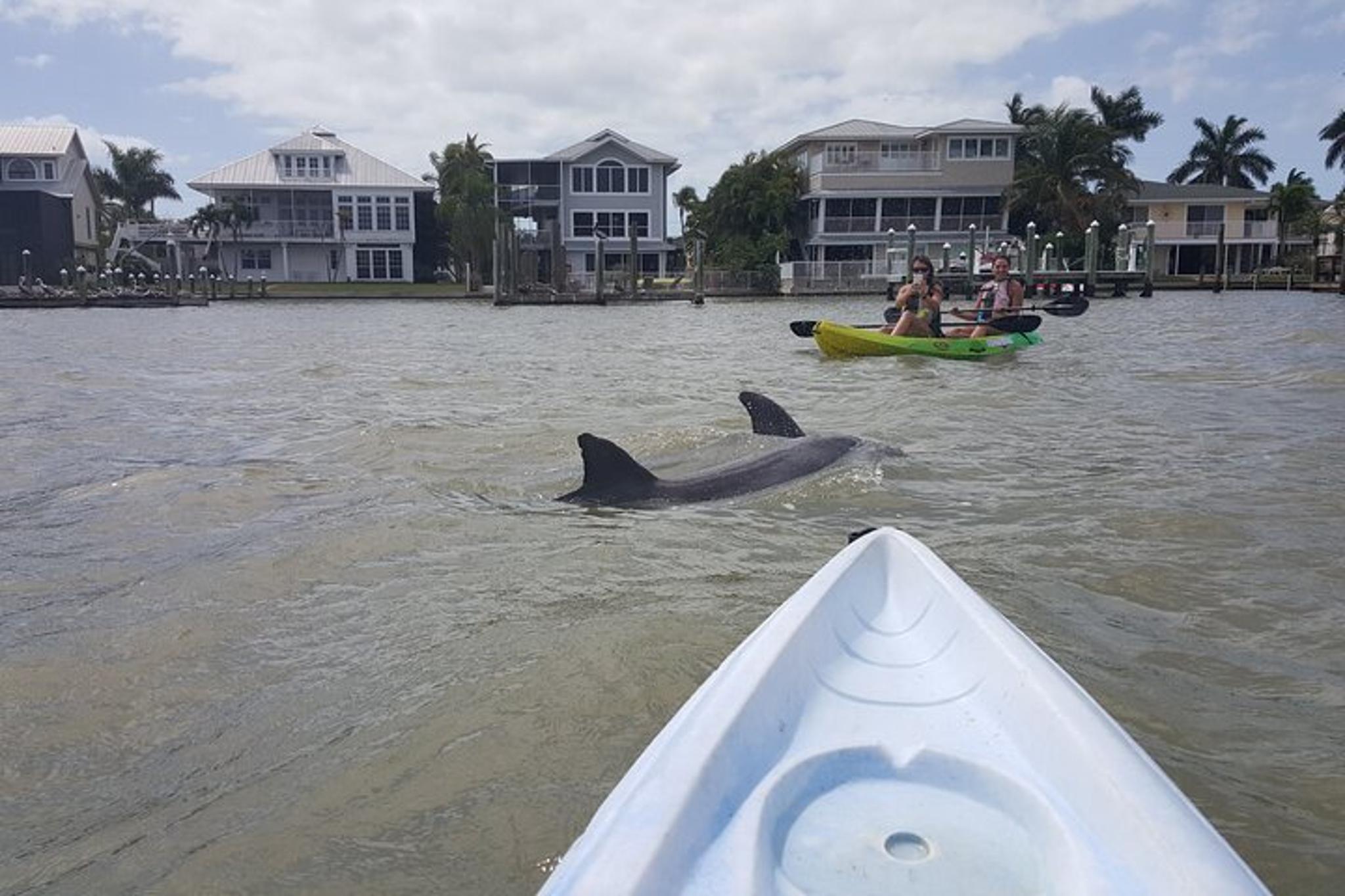 Fort Myers Beach Kayak or SUP Rental 3hr - Image 4