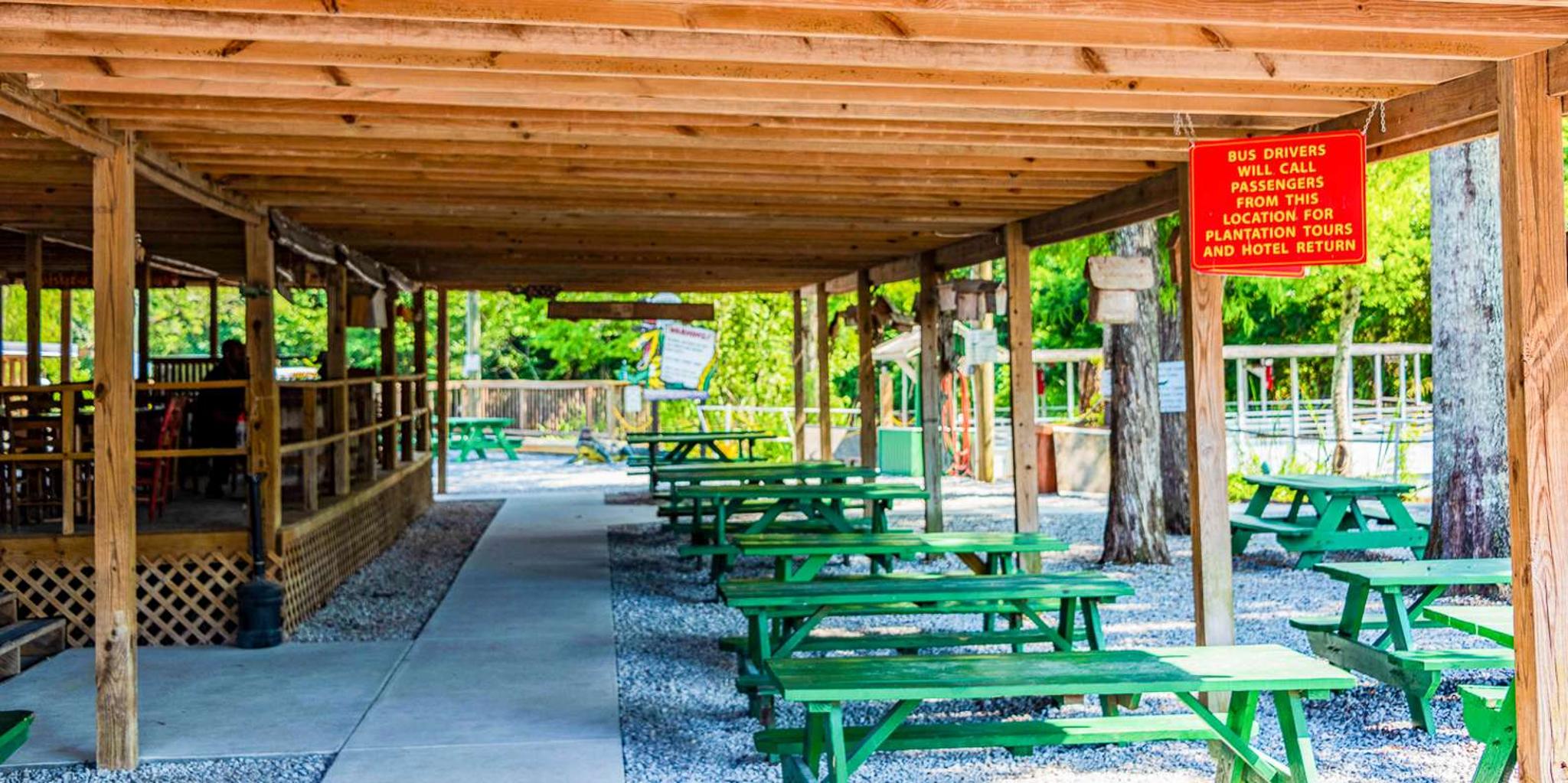 New Orleans Manchac Bayou Swamp Cruise - Image 3