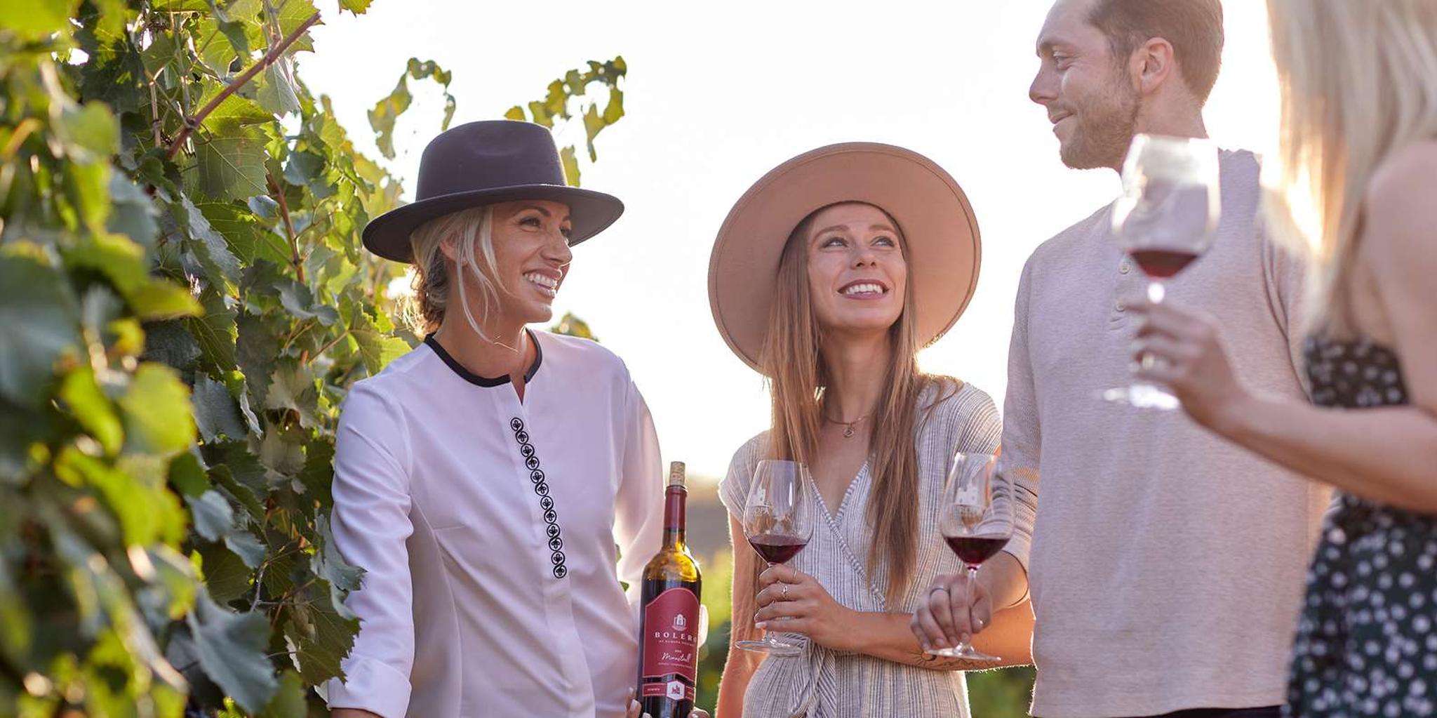 Temecula Wine Tour with Tastings and Food Pairings - Image 5