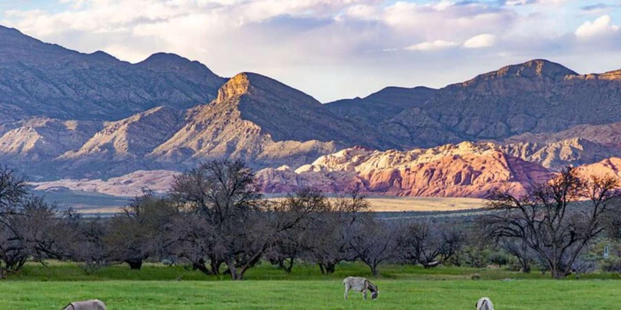 Las Vegas Spring Mountain Ranch Hike and House Visit - Image 2