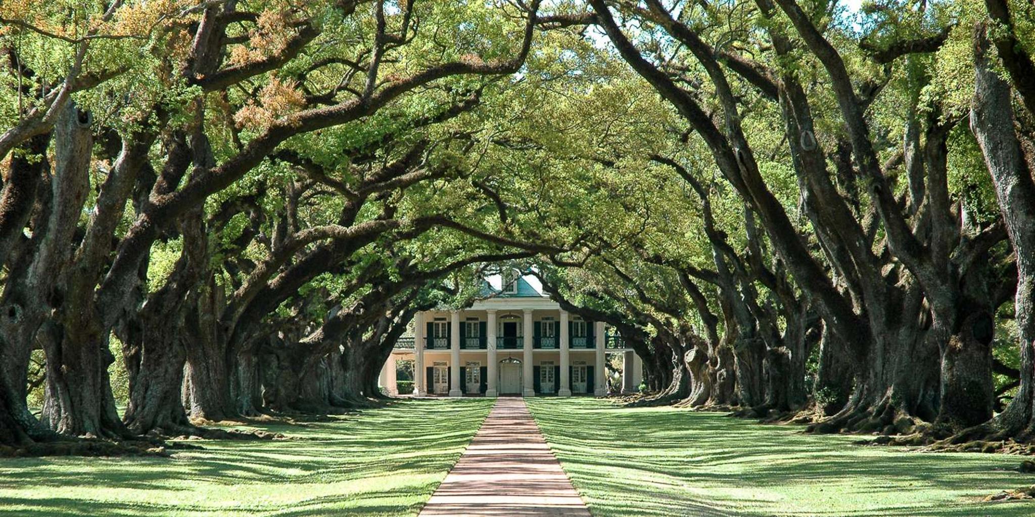 New Orleans Plantation and Swamp Tour