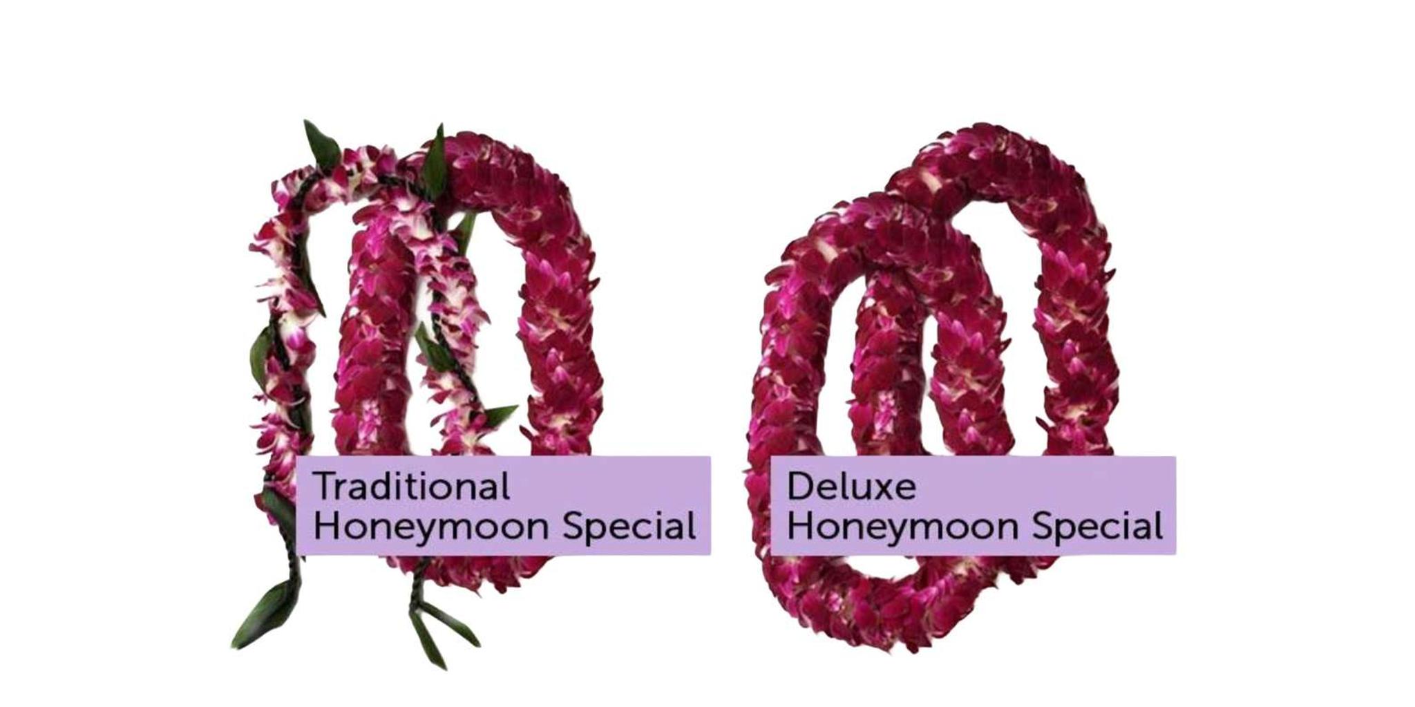 Kona Airport Lei Greeting - Image 5