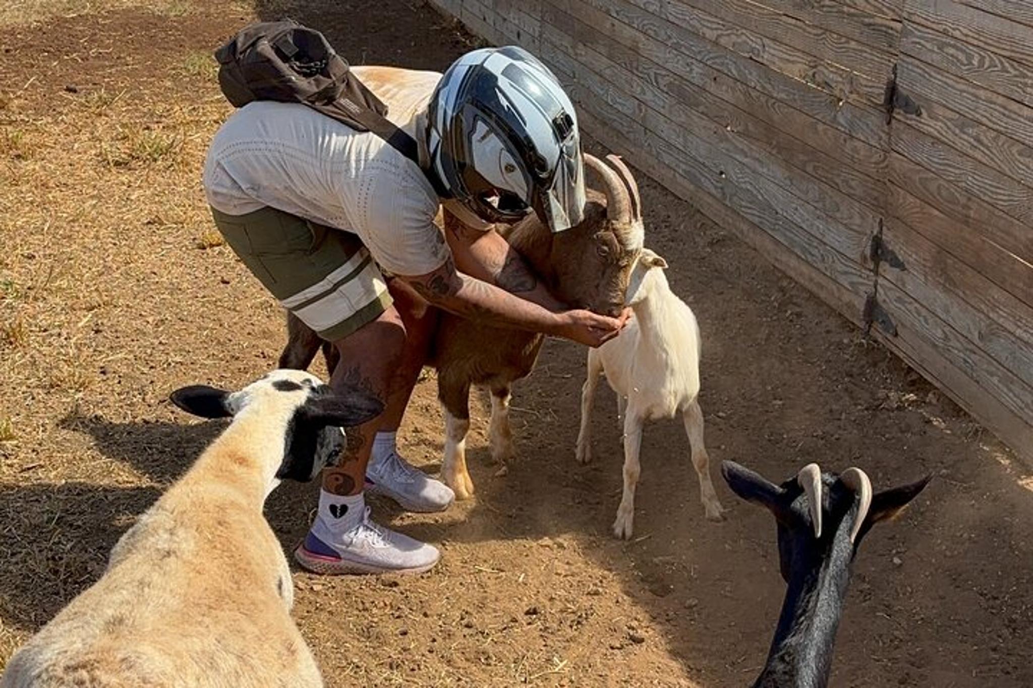 Oahu Mini ATV and Farm Animal Experience 45 Min - Image 2