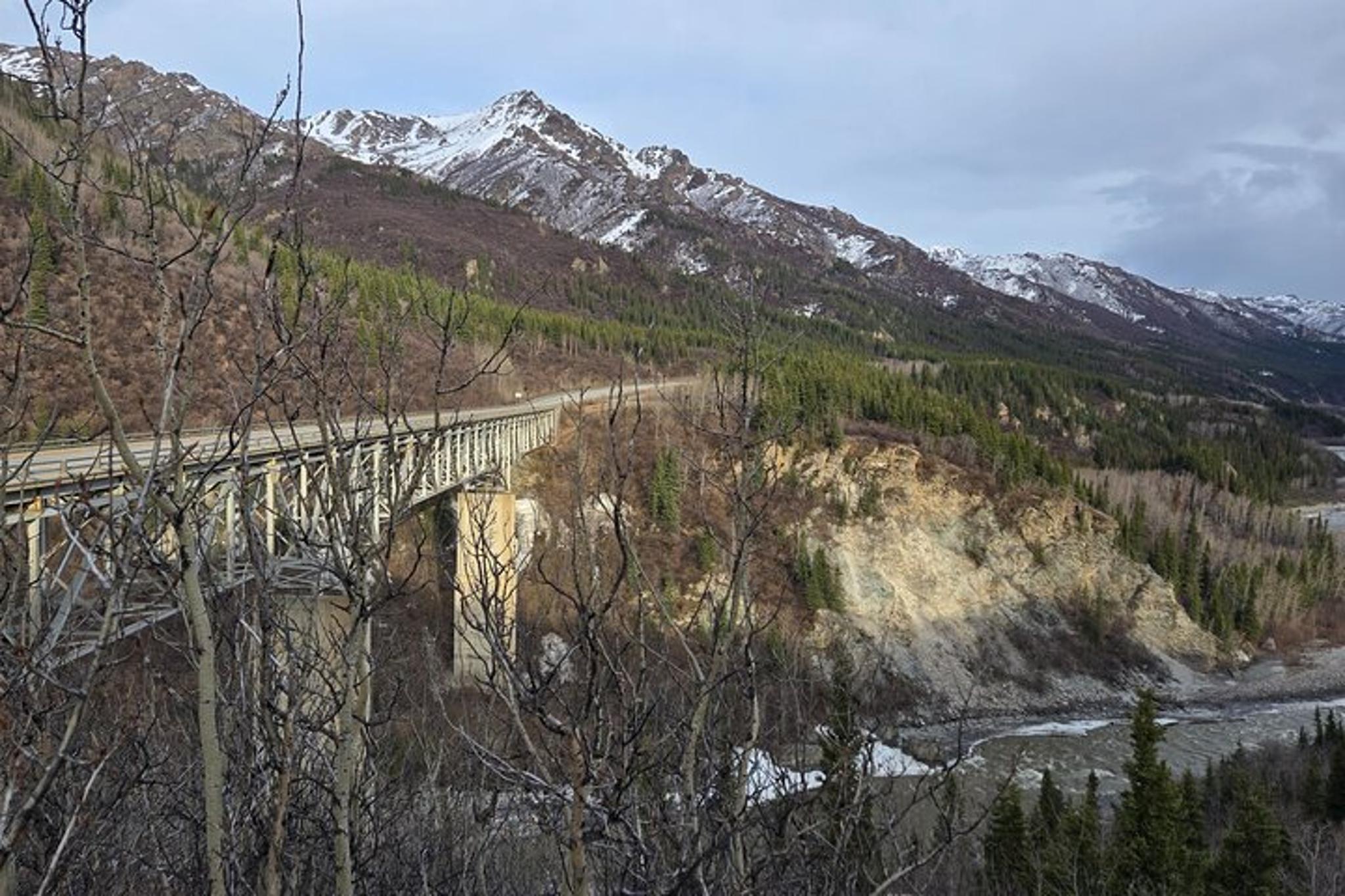 Denali National Park Shuttle - Image 2