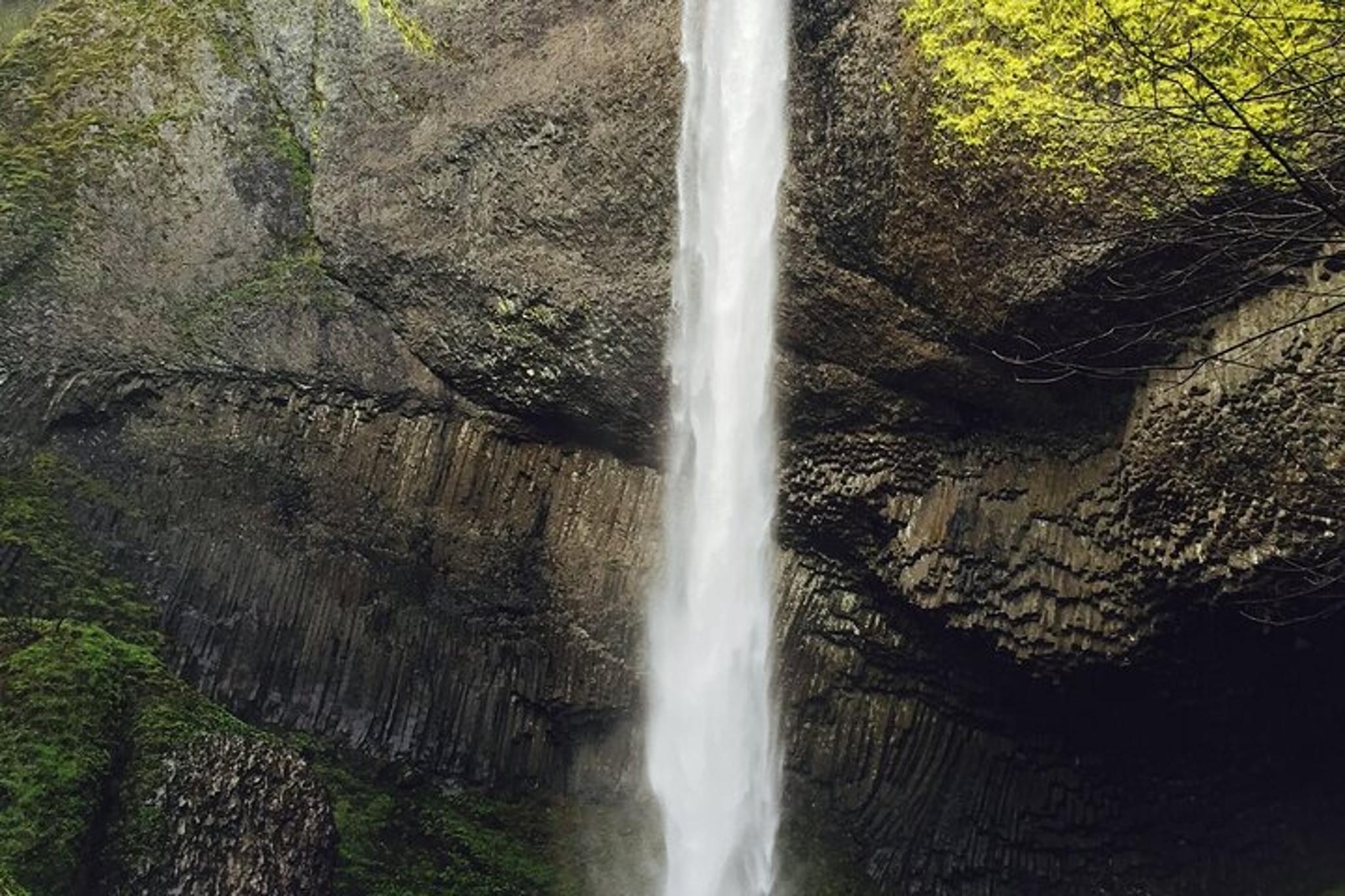 Portland Columbia River Gorge and Mt Hood Tour - Image 6