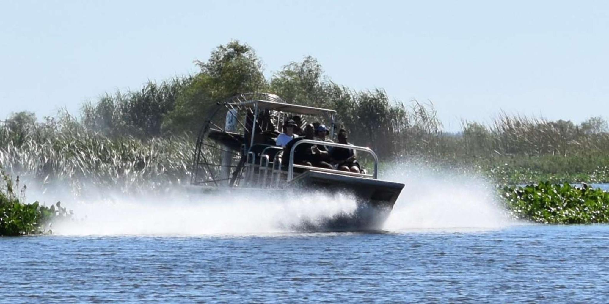 New Orleans Airboat Swamp Tour - Image 2