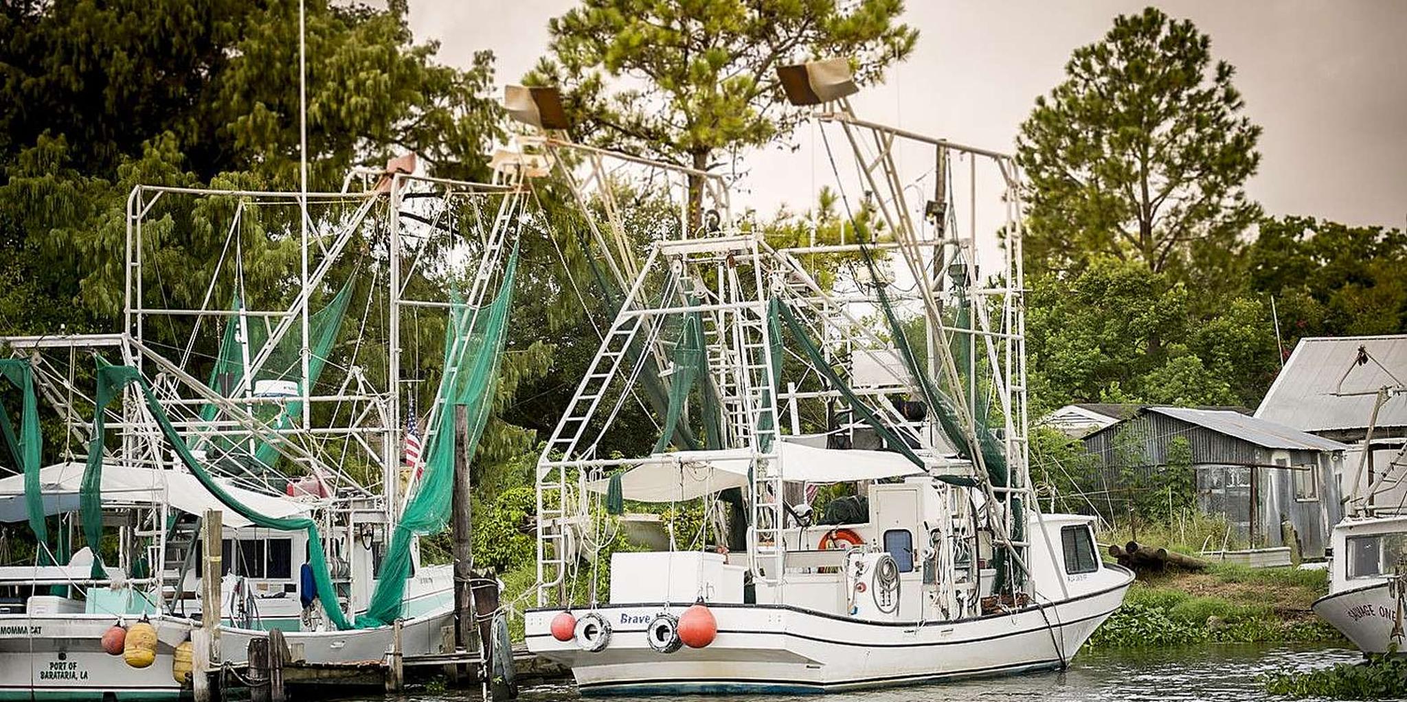 New Orleans Airboat Adventure Tour - Image 6