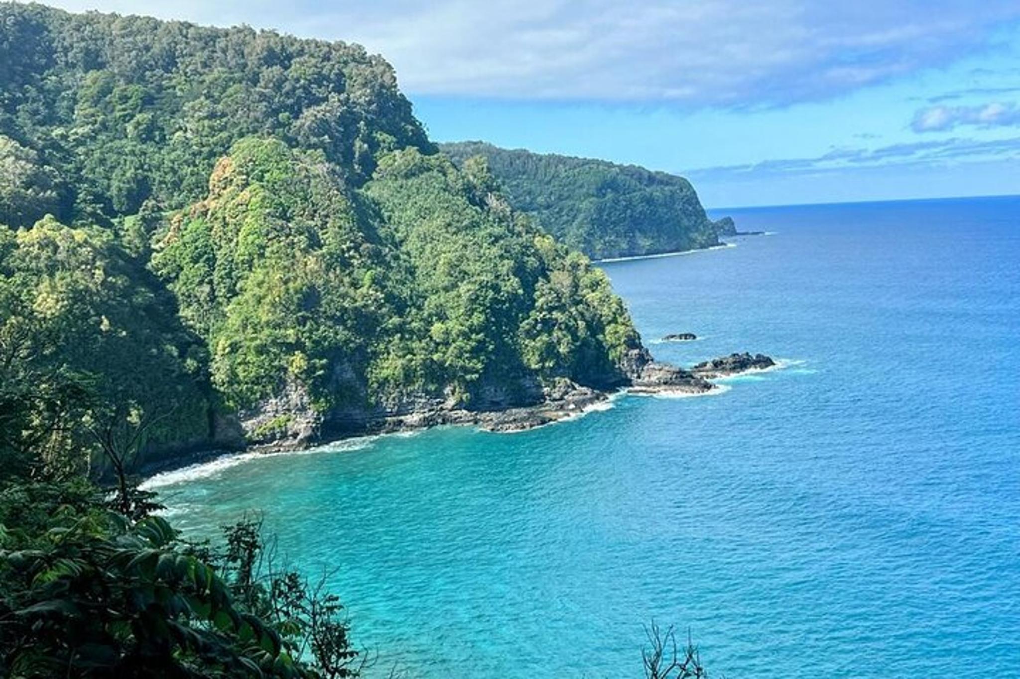 Maui Road to Hana Tour with Black Sand Beach and Waterfalls - Image 6
