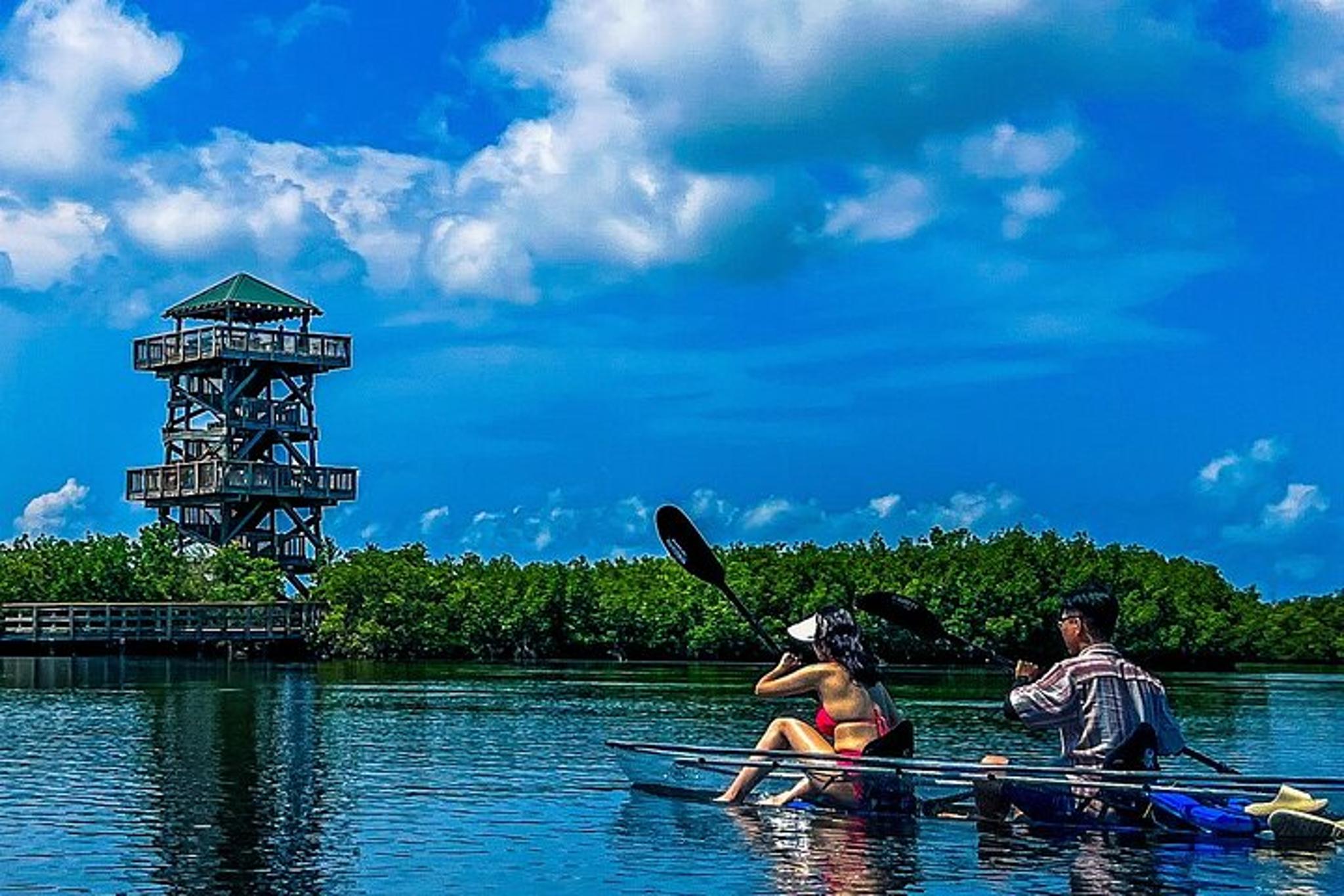 Bradenton Clear Kayak Ecotour at Robinson Preserve - Image 6