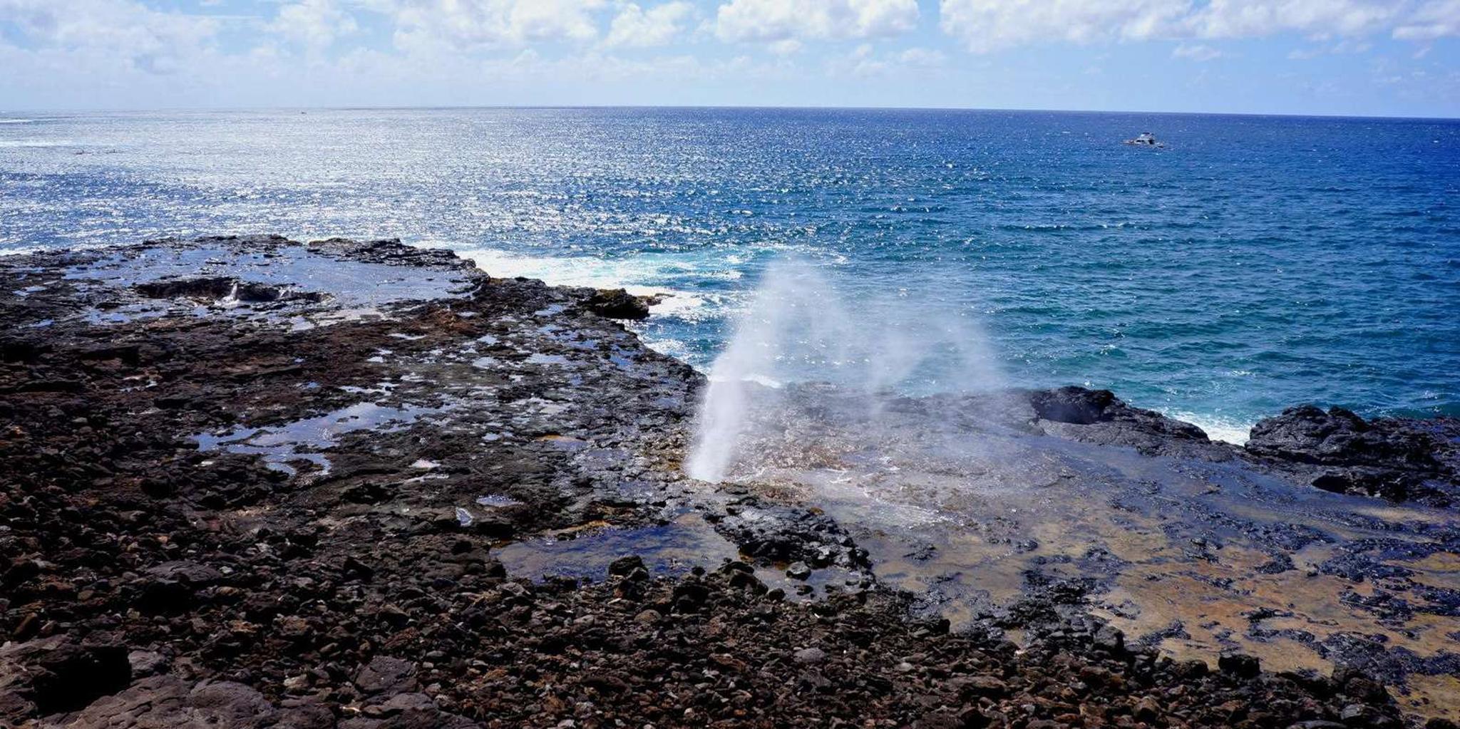 Kauai Day Tour: Kalalau, Waimea, Poipu - Image 6