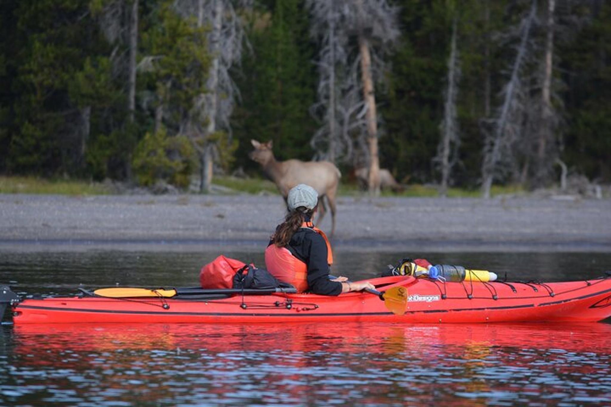 Yellowstone Lake Sunset Kayaking Tour - Image 1