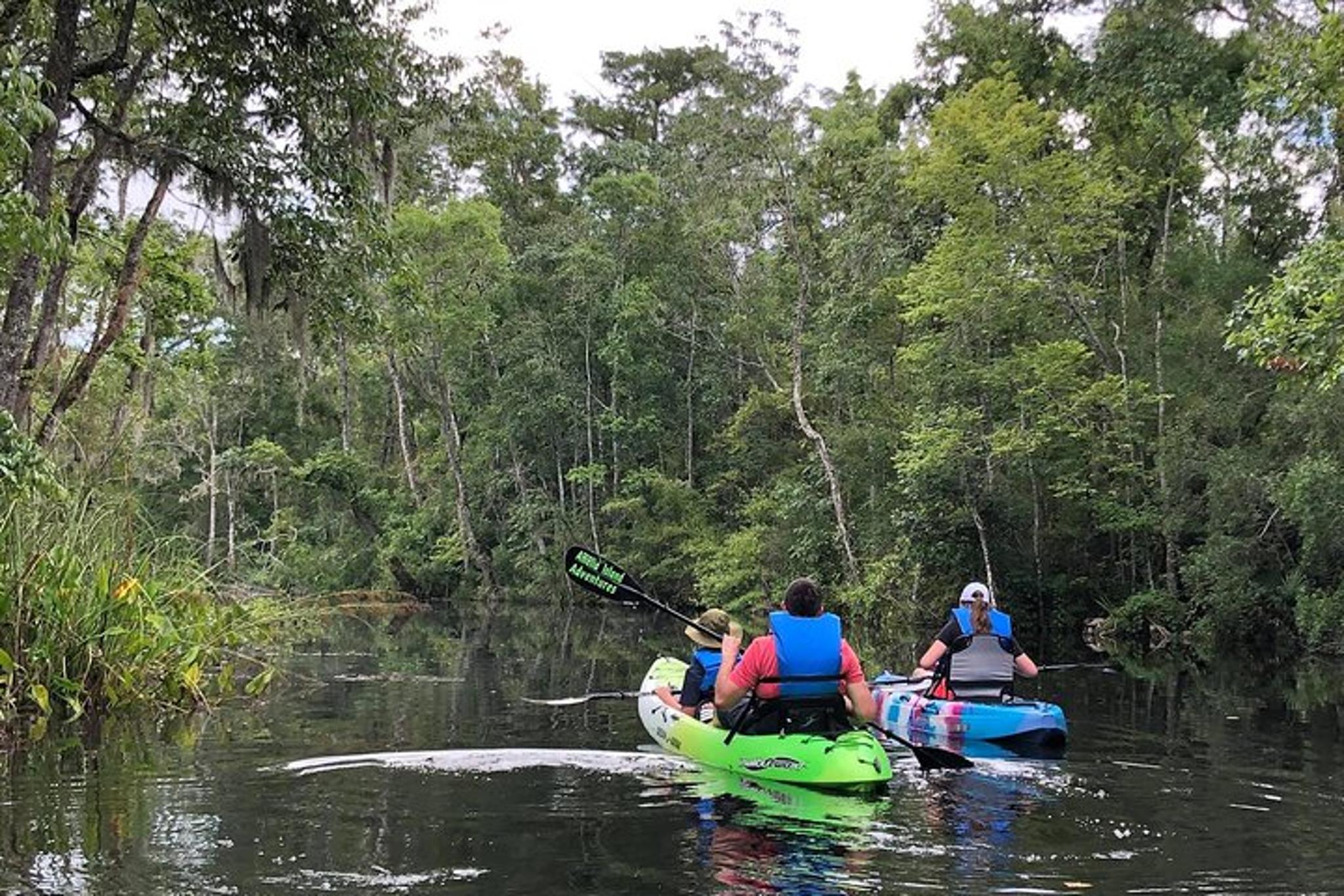 Yulee Self-Guided Kayaking Adventure - Image 2