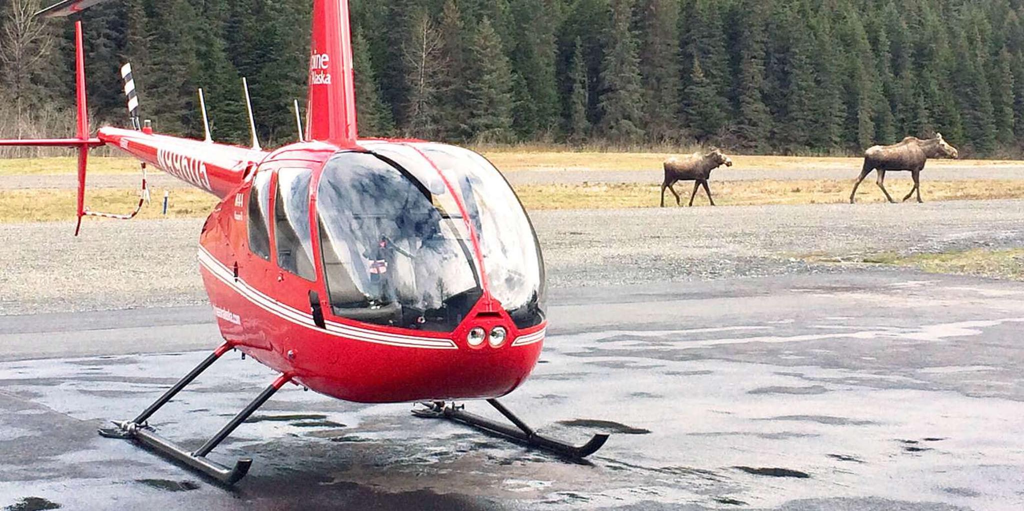 Anchorage Helicopter Flightseeing Tour - Image 3