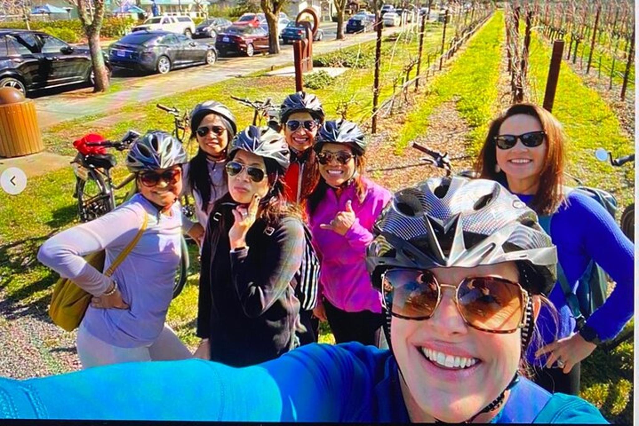 Napa E-Bike Rental with Picnic Lunch - Image 3