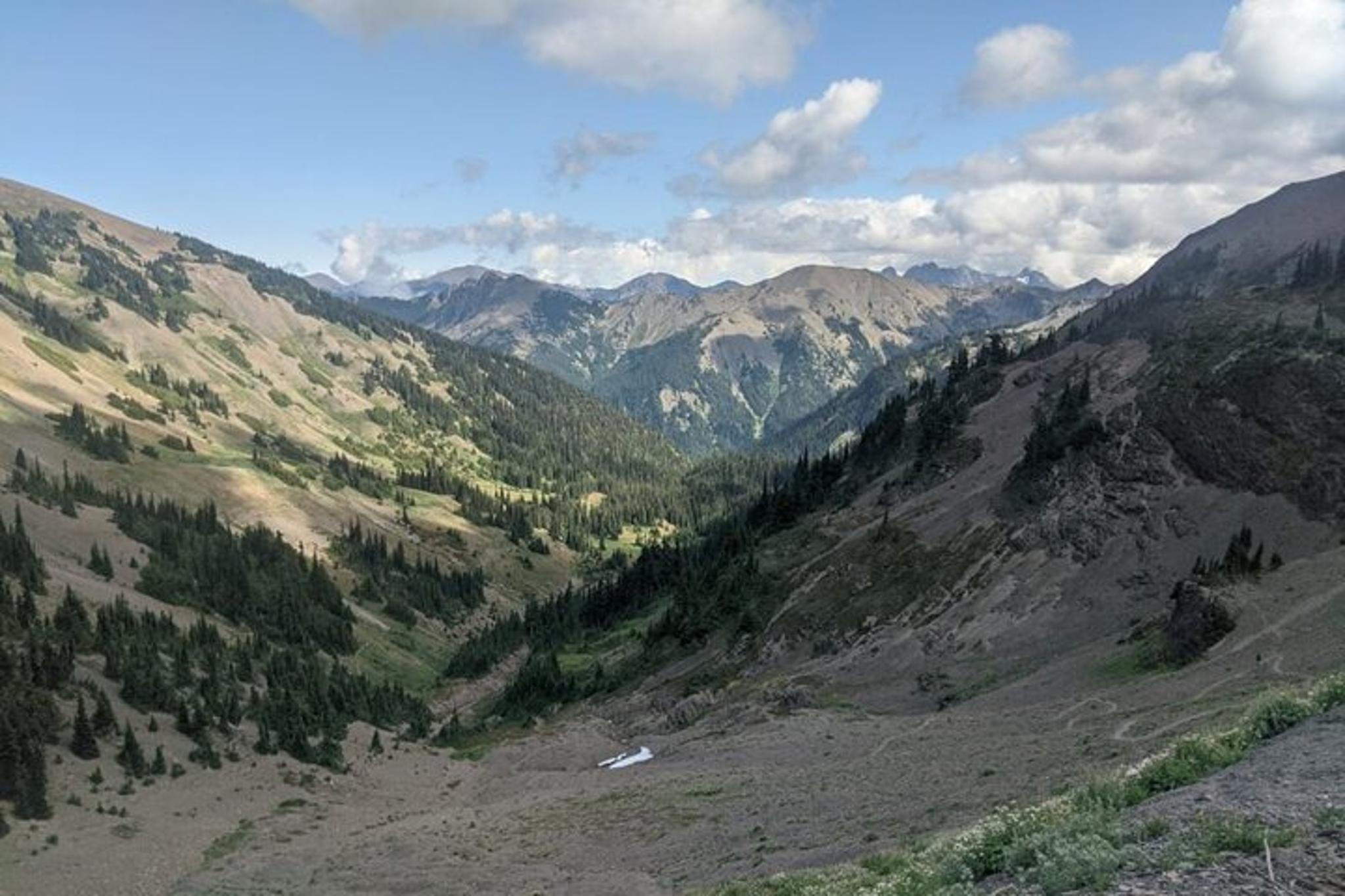 Olympic National Park Maiden Peak Day Hike - Image 6