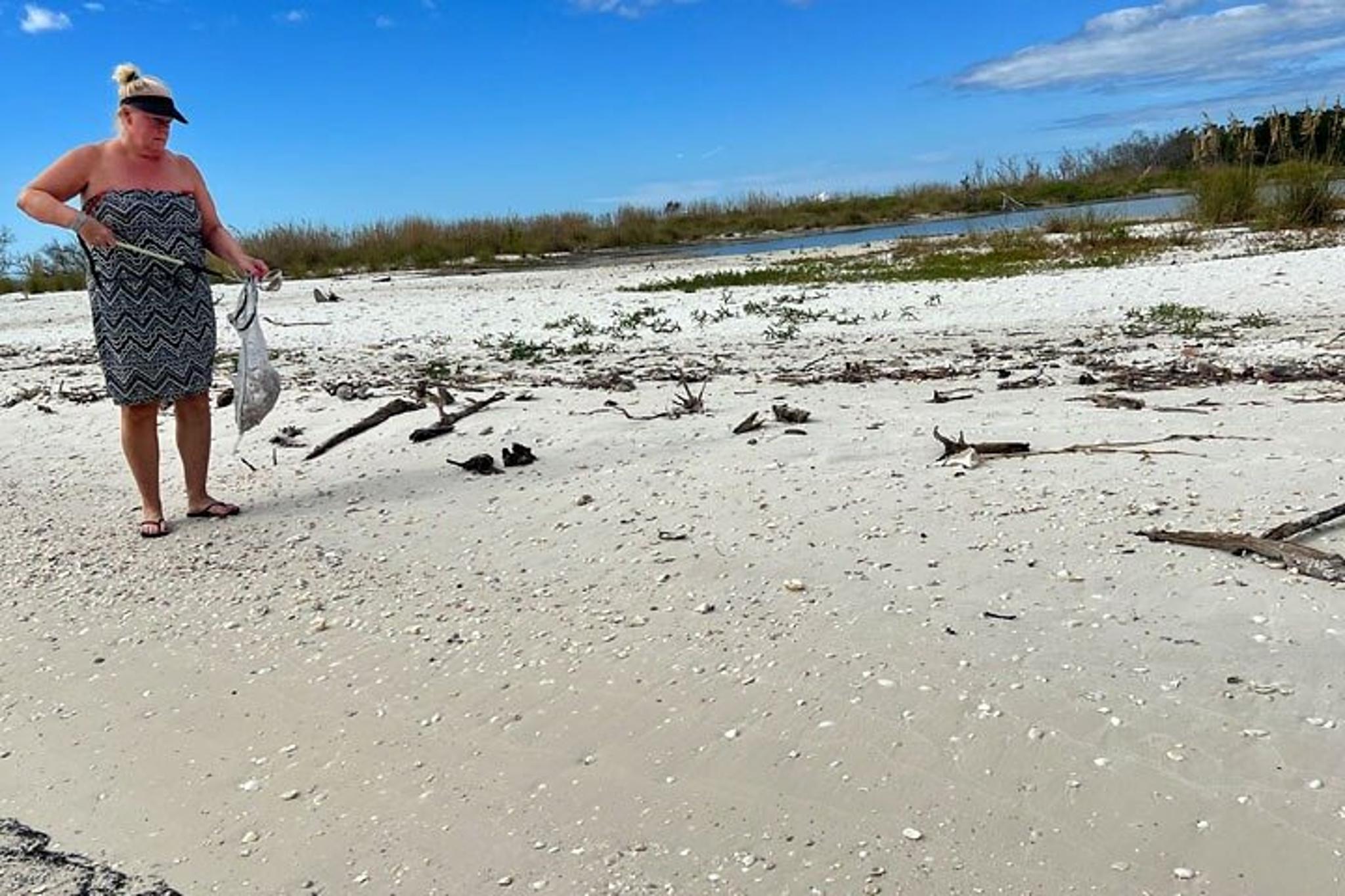 Marco Island Shelling Tour - Image 4