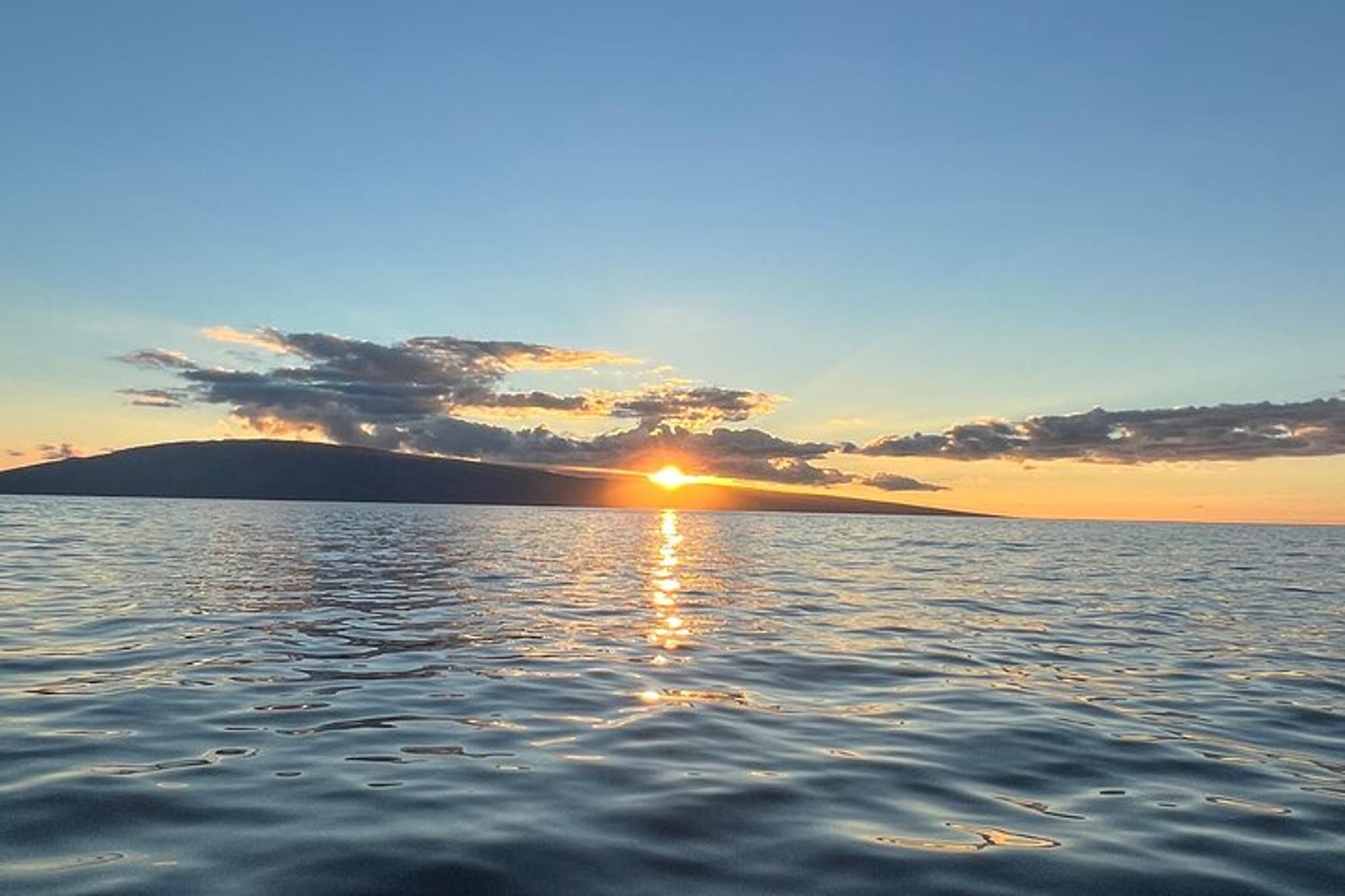 Maui Whale Watching Tour at Sunset - Image 4