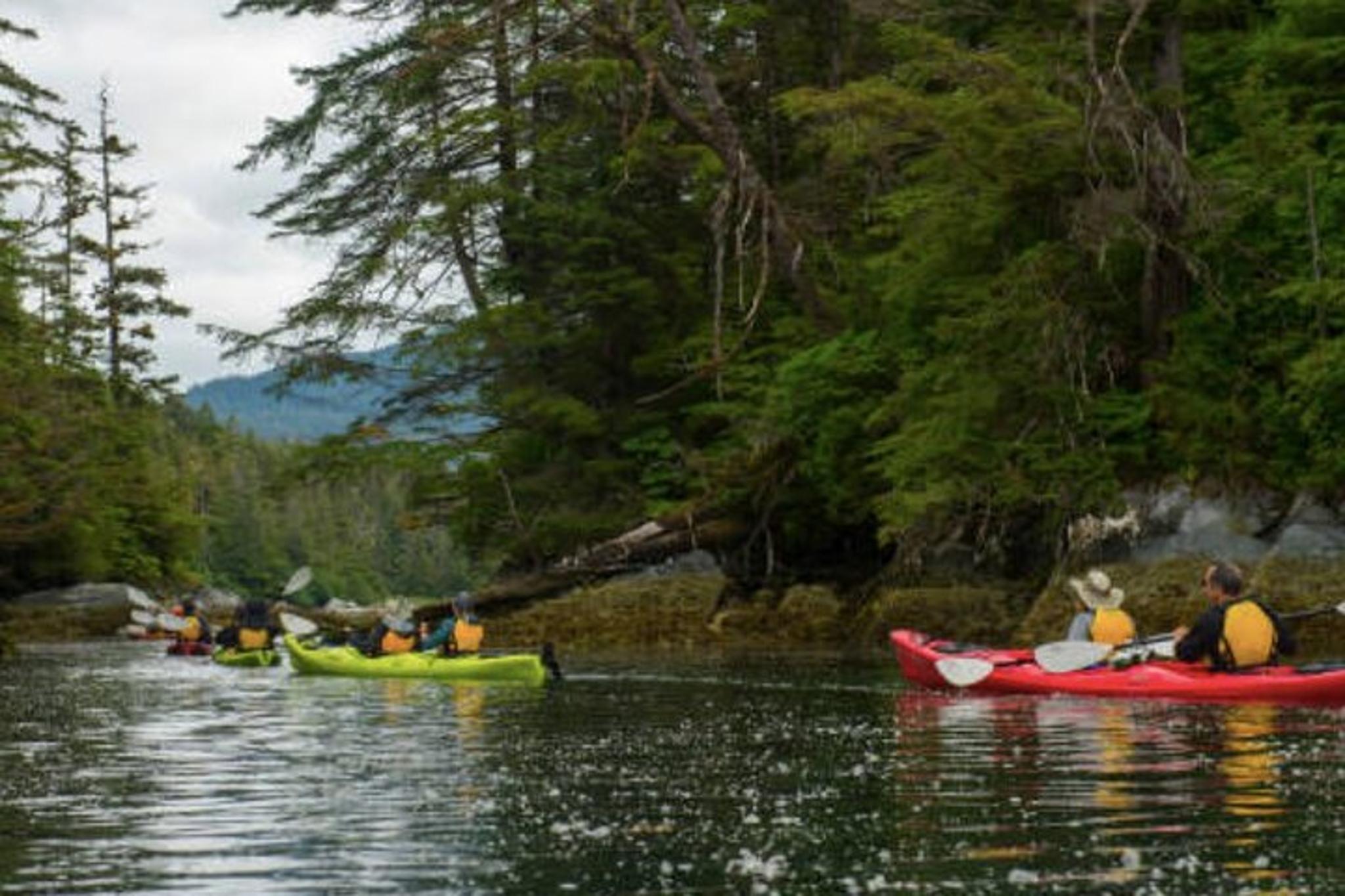 Sitka Harbor & Islands Guided Kayaking - Image 2