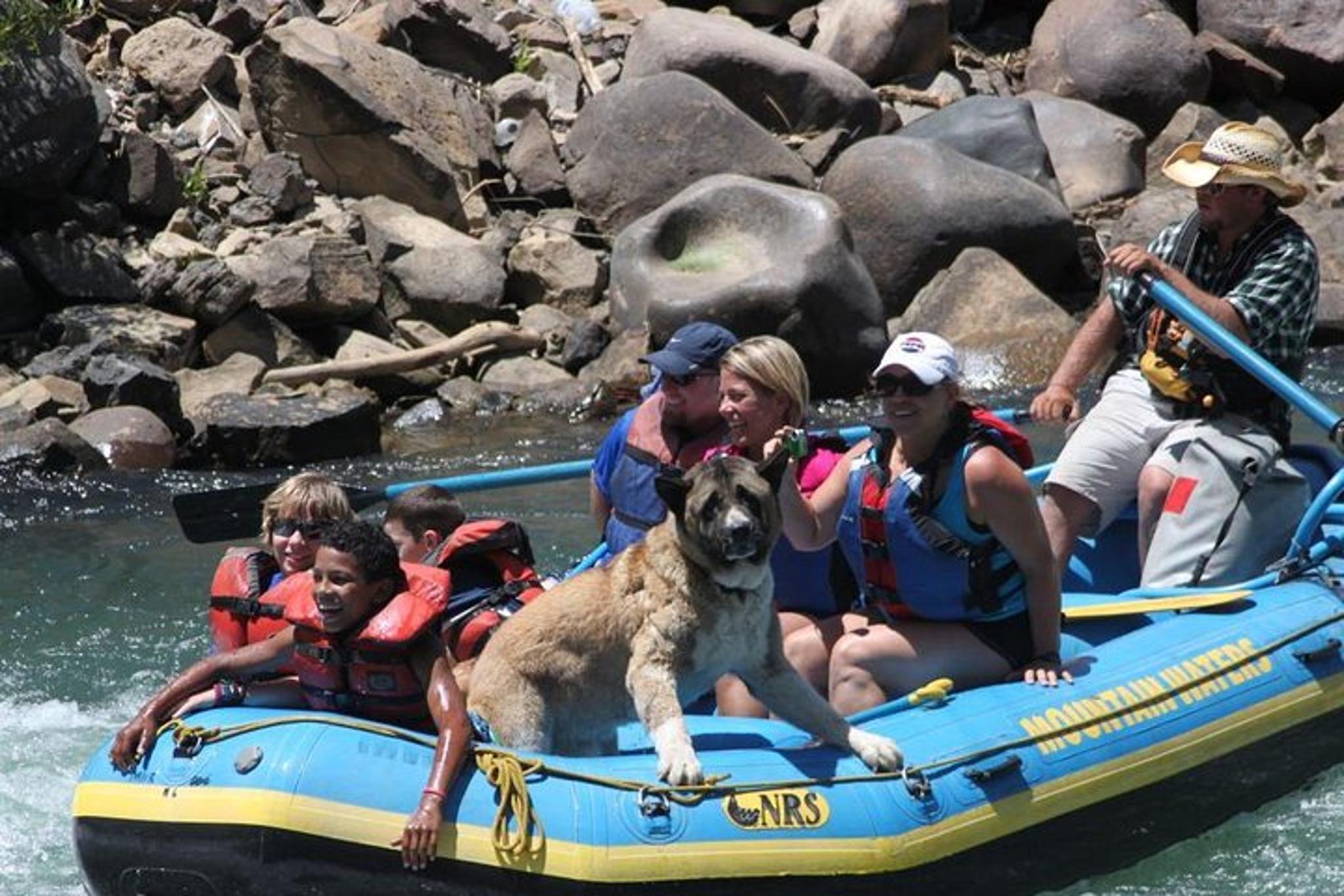 Durango Rafting Family Trip 2 hr - Image 3