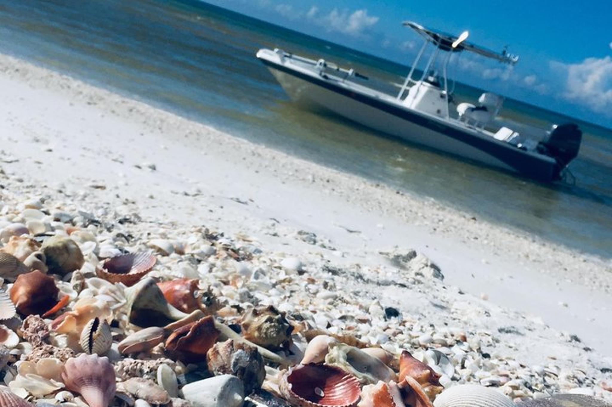 Fort Myers Beach Shelling Tour - Image 2