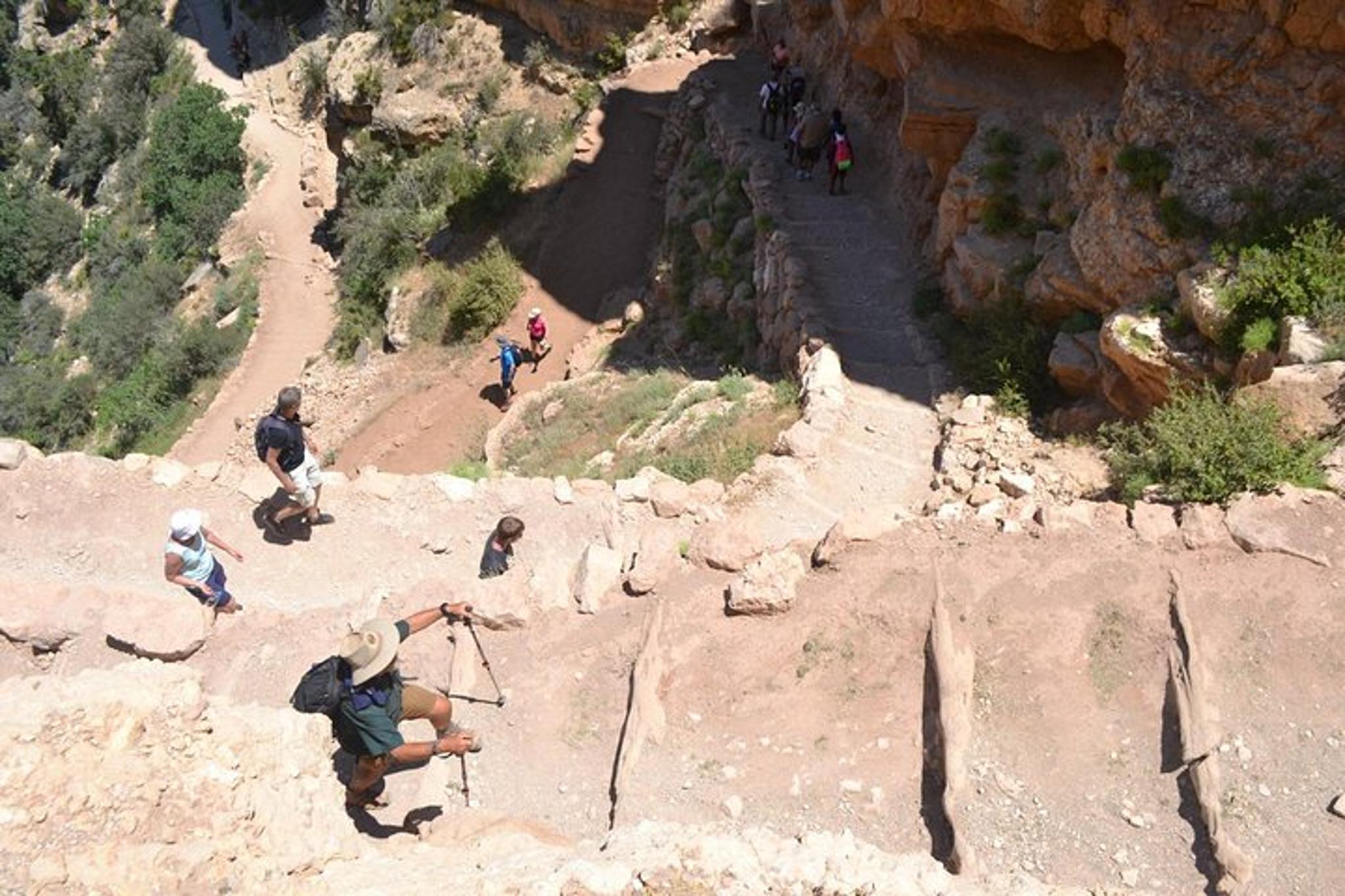Grand Canyon Hike and Sightseeing Tour - Image 2