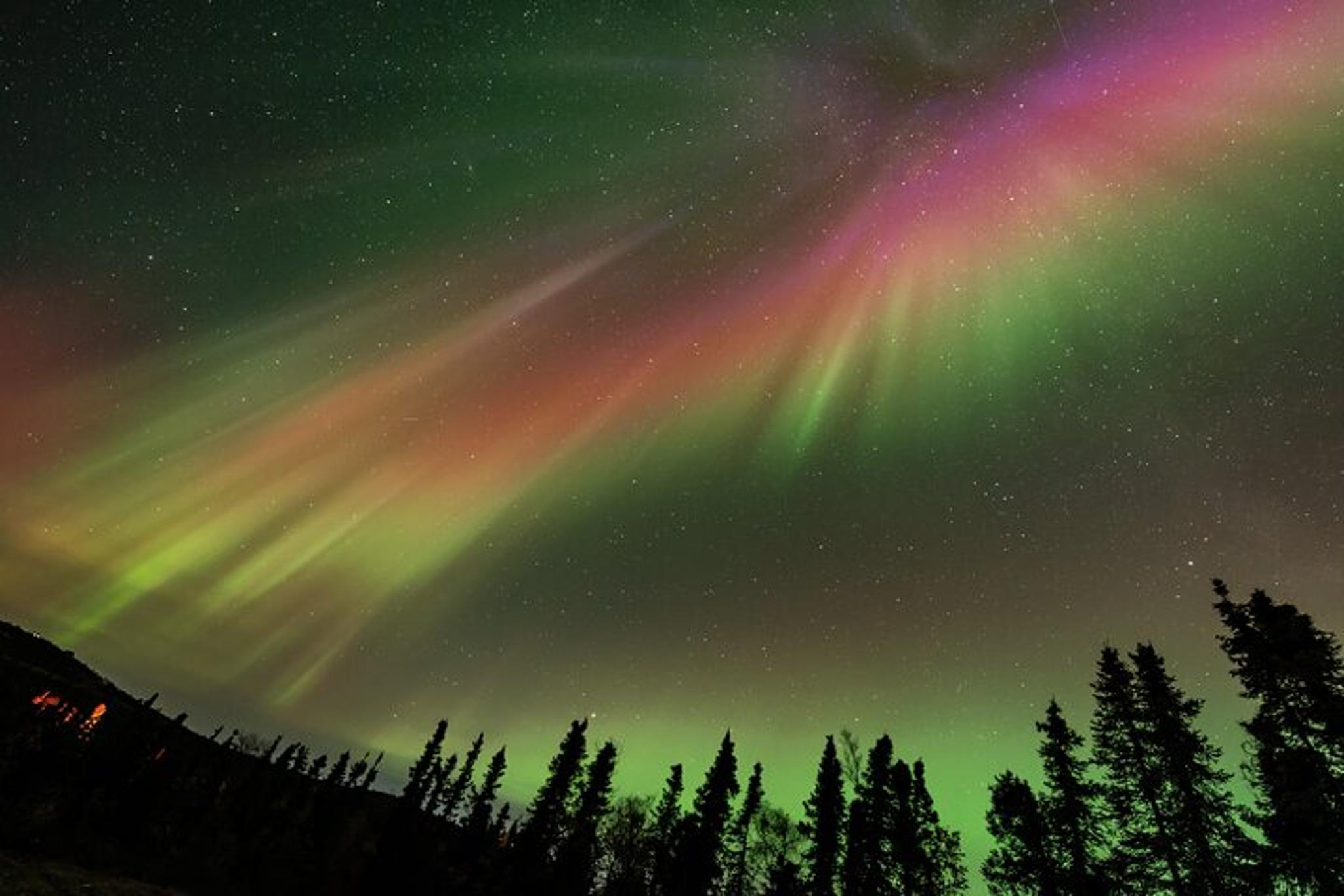 Aurora Chasing Tour in Northern Lights - Image 5
