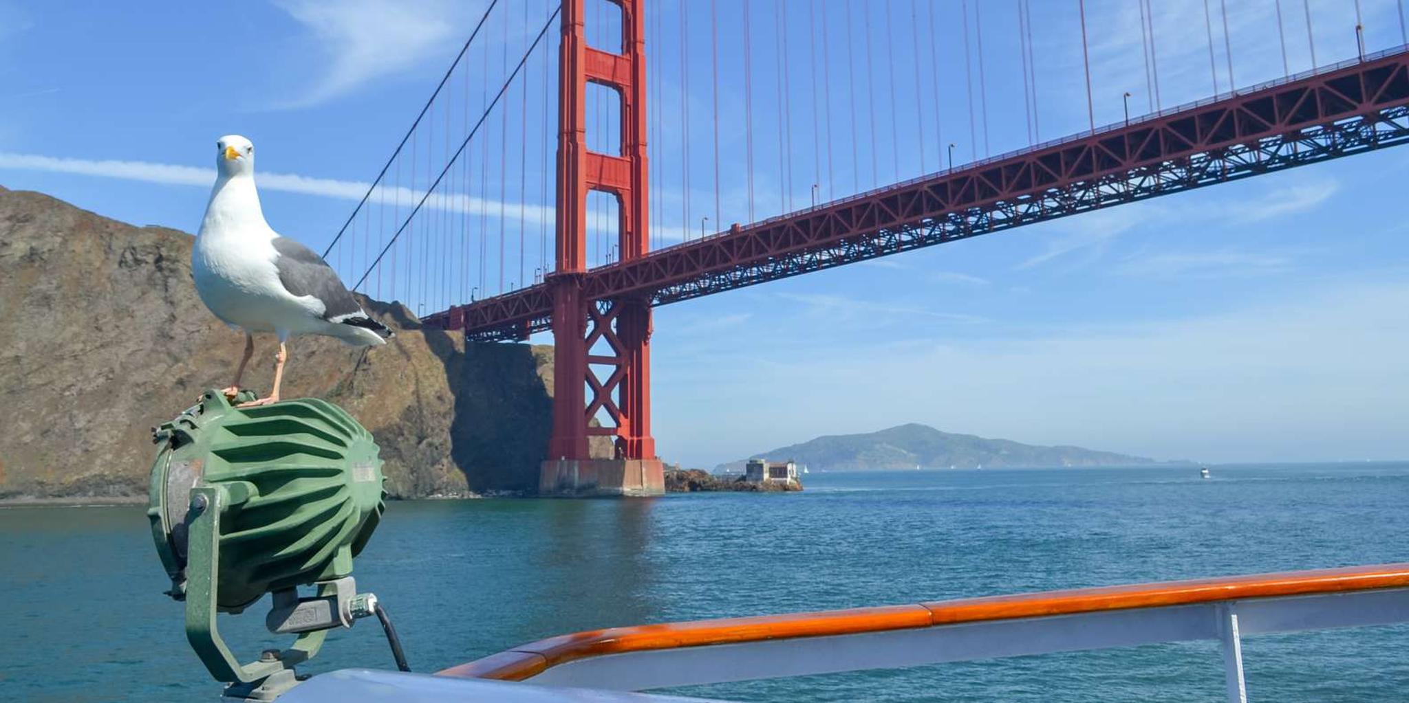 San Francisco Bay Cruise with Buffet Lunch or Dinner - Image 3
