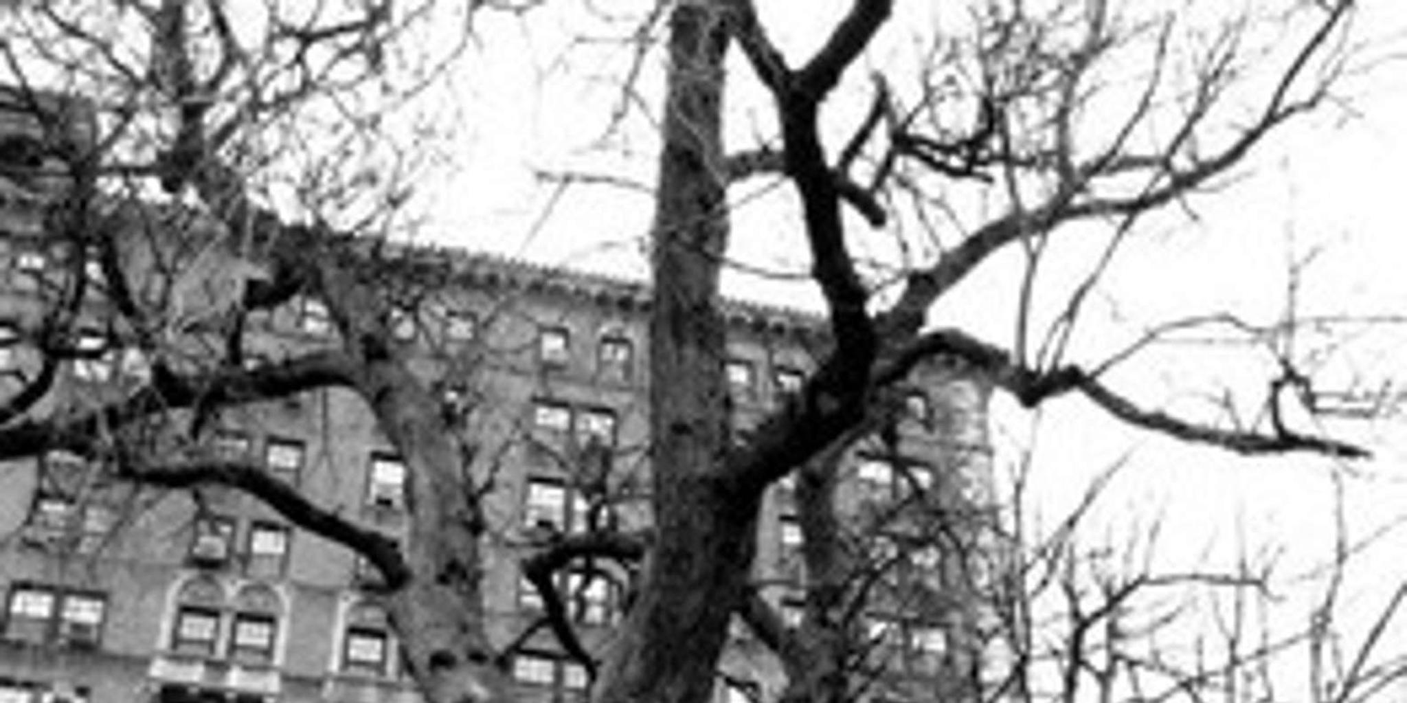 New York Ghost Walking Tour - Image 2
