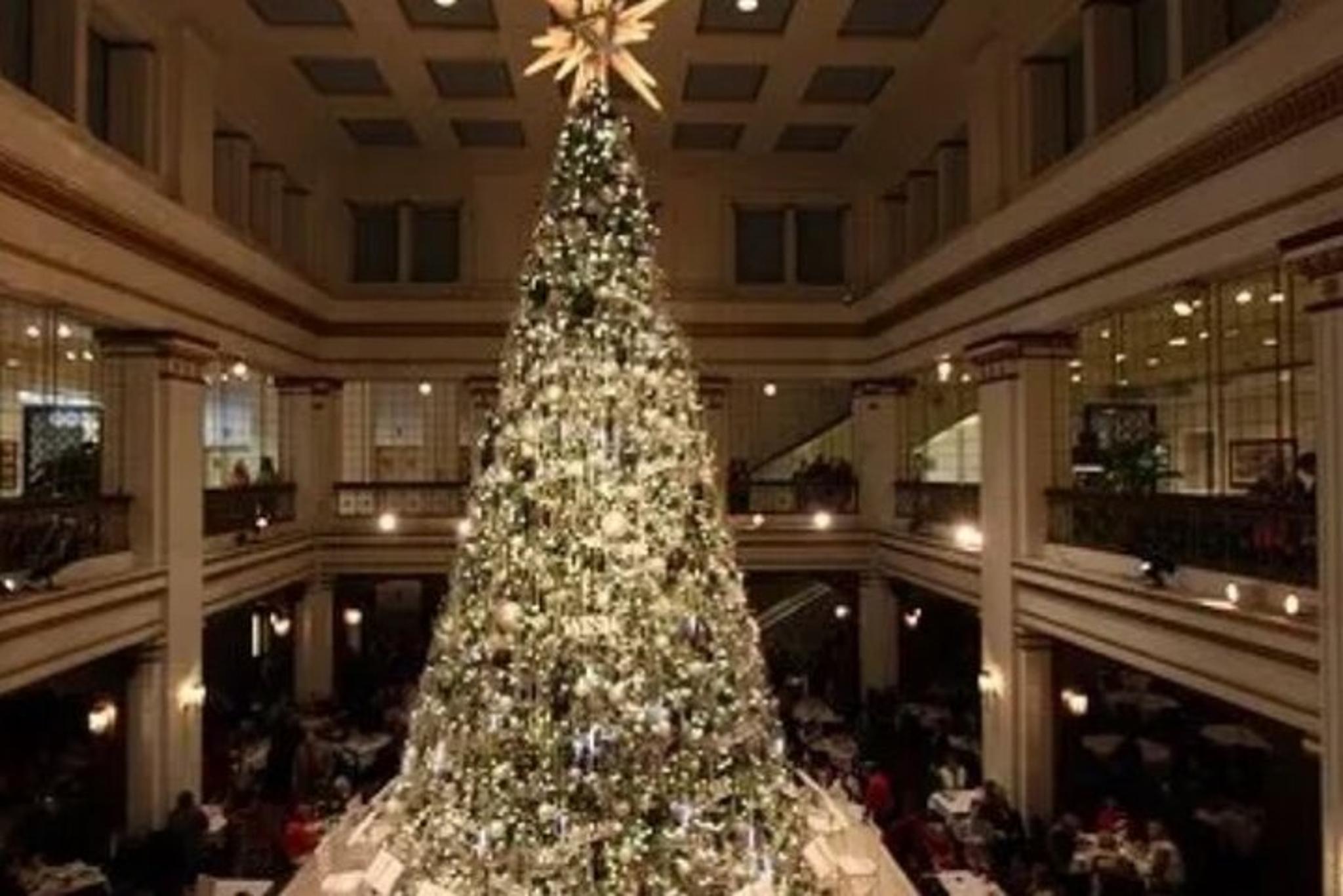 Chicago Holiday City Tour - Image 4