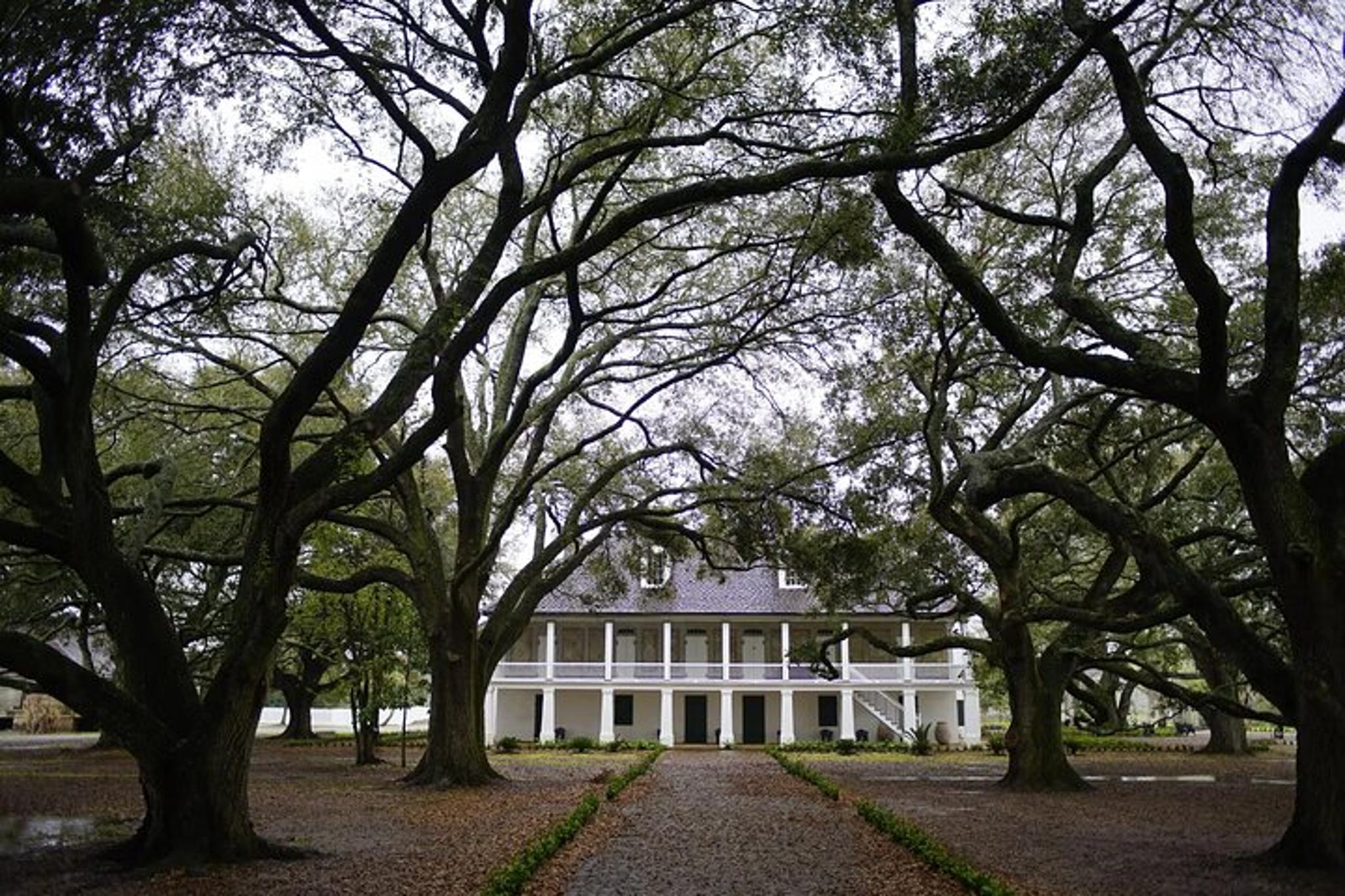 Louisiana Whitney Plantation Tour with Transportation