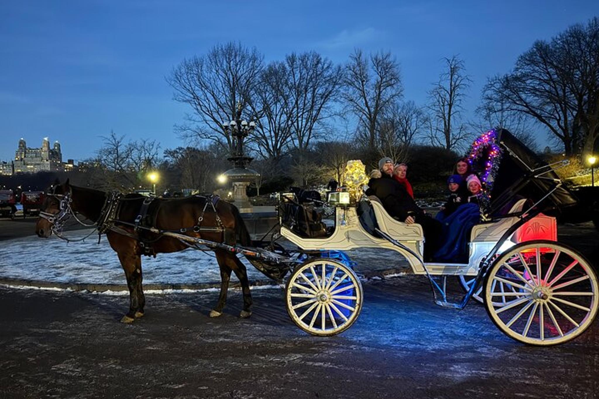 New York City Christmas Light Tour - Image 4