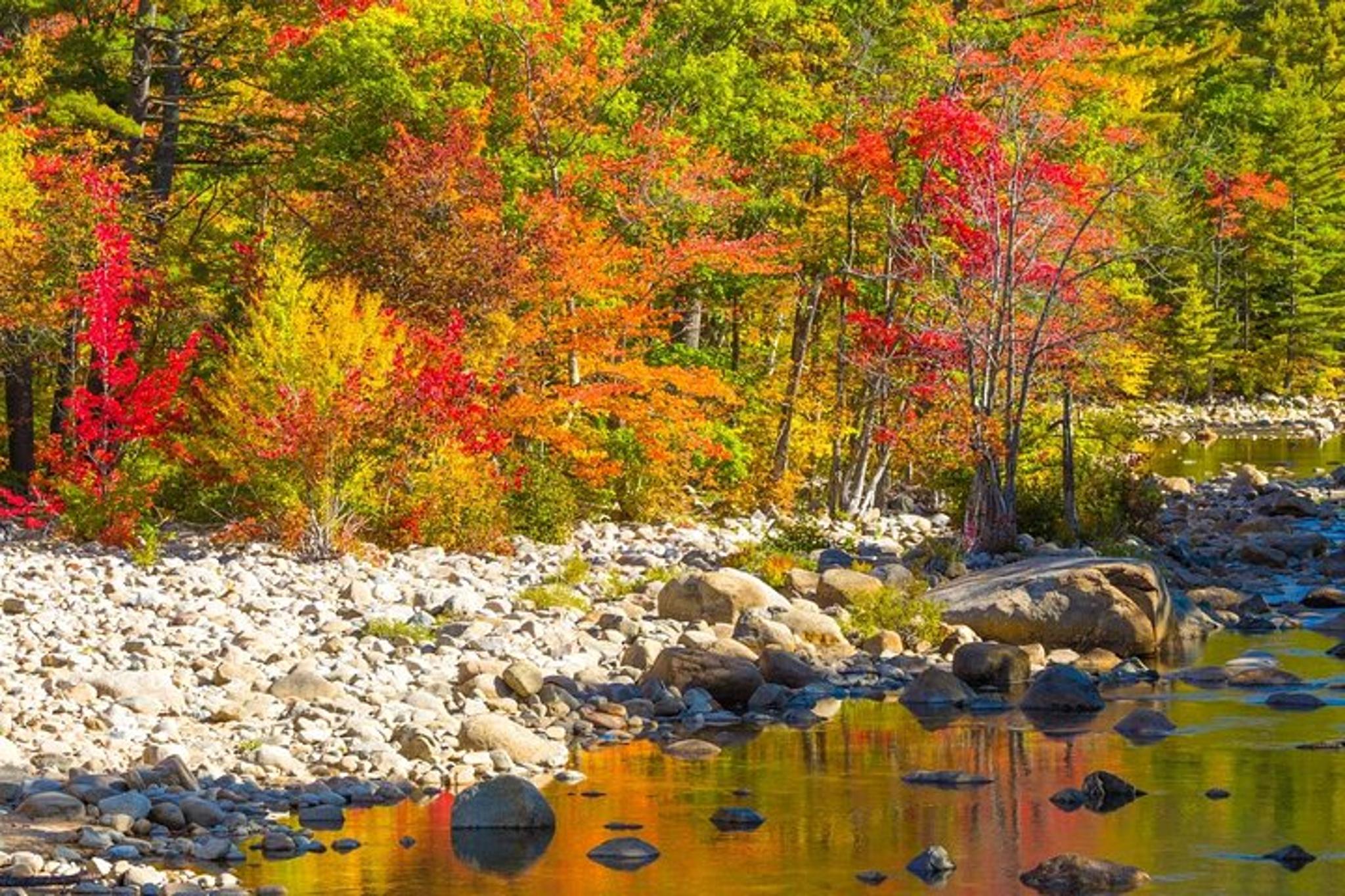 Boston Fall Foliage Day Trip to White Mountains - Image 4
