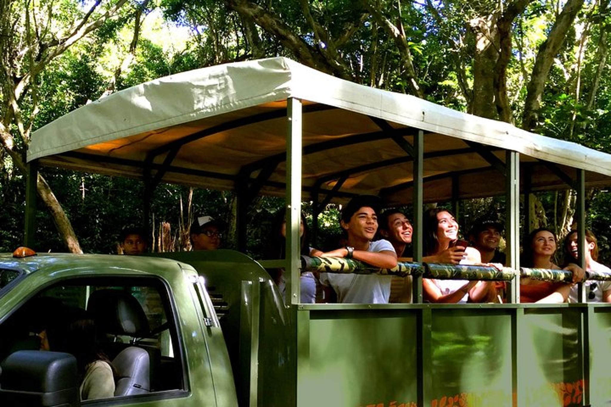 Kaneohe Jungle Expedition Tour - Image 3