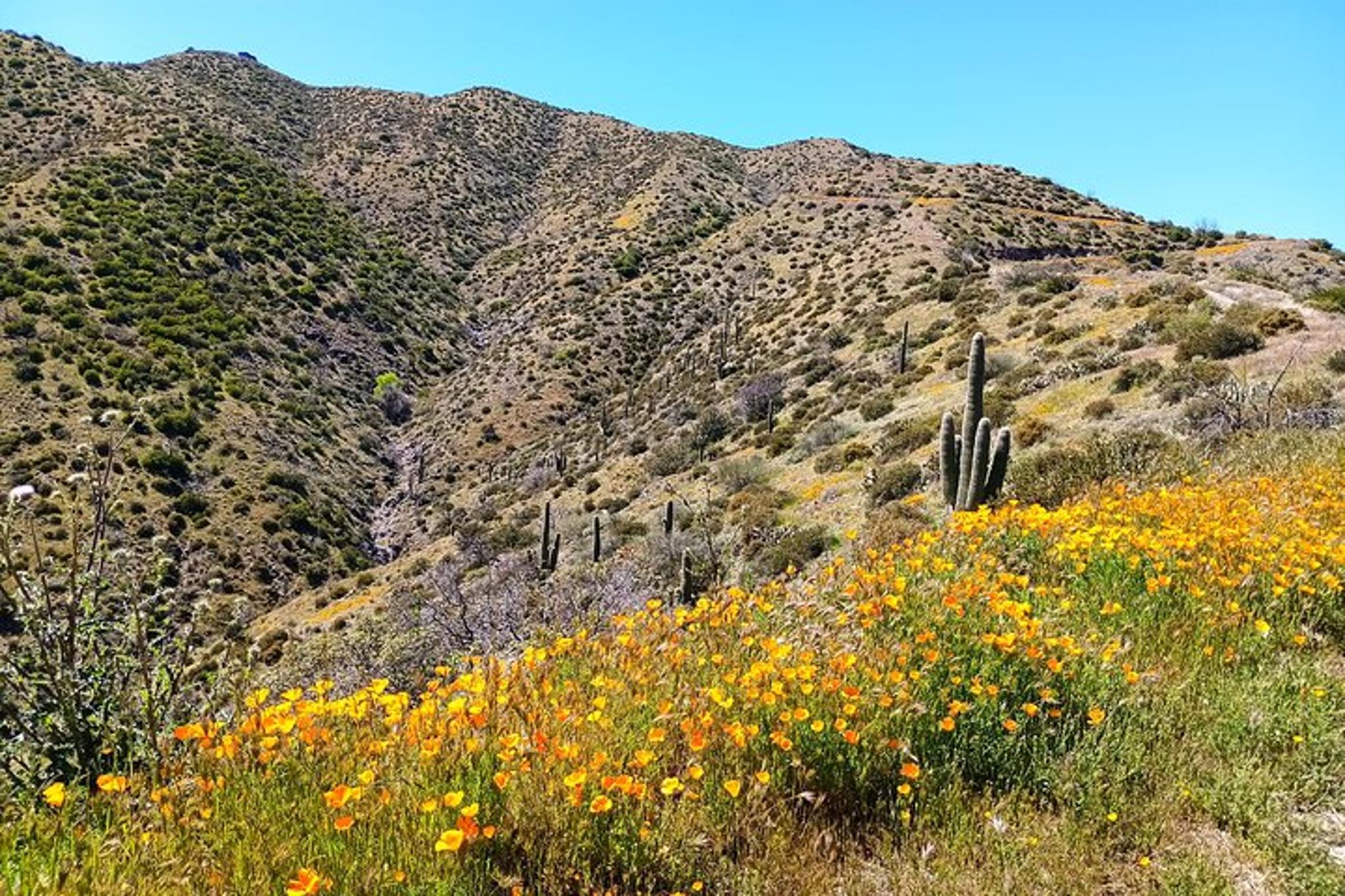 Phoenix Gold Mine Jeep Adventure - Image 4