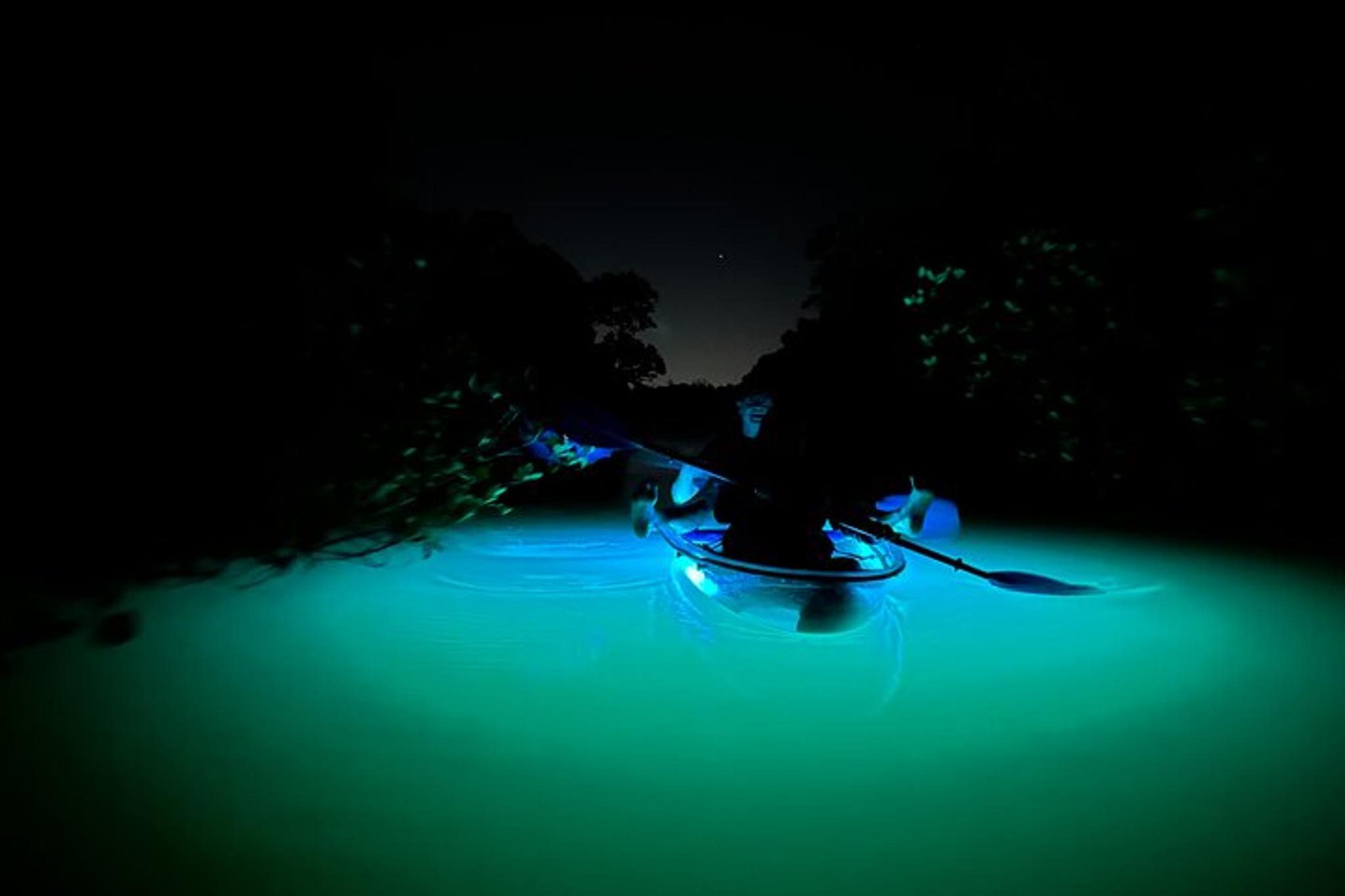 Bonita Springs Kayak Tour at Sunset