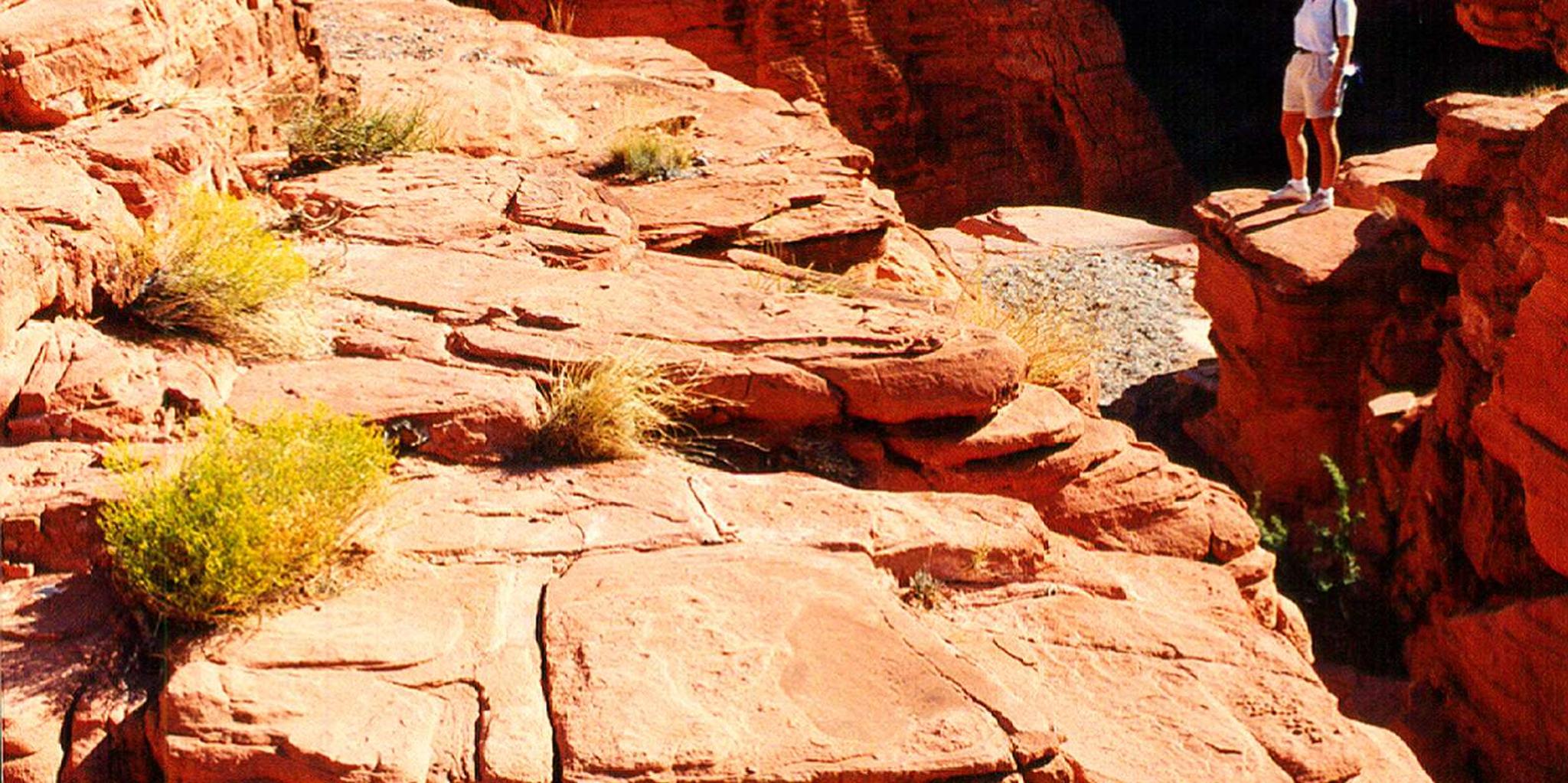 Las Vegas Valley of Fire Tour with Lost City Museum - Image 2