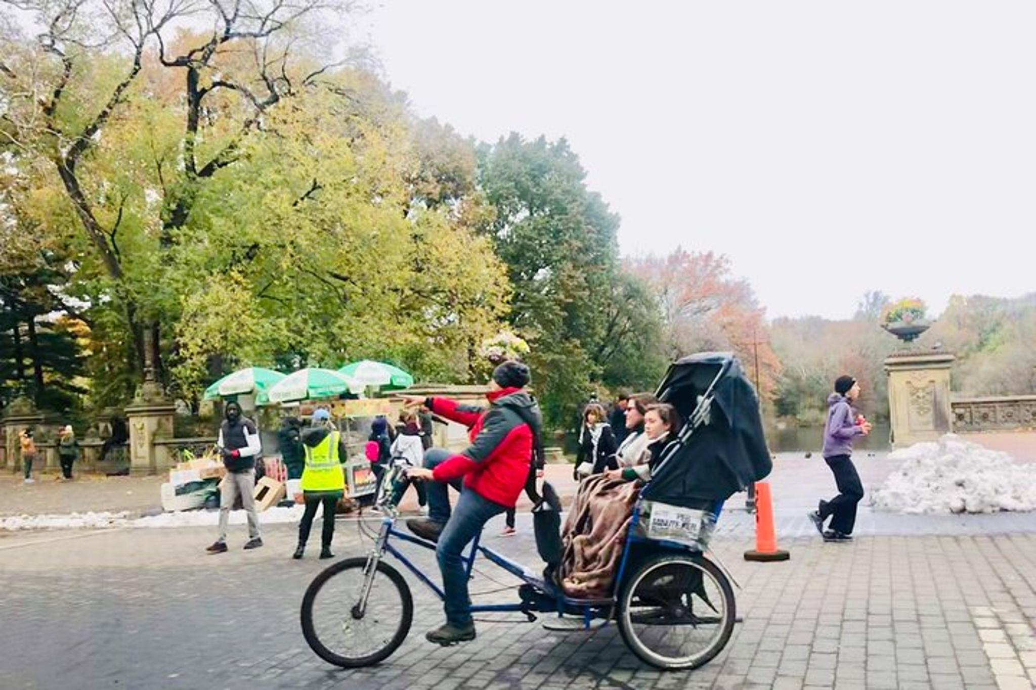 New York Central Park Pedicab Tour - Image 6