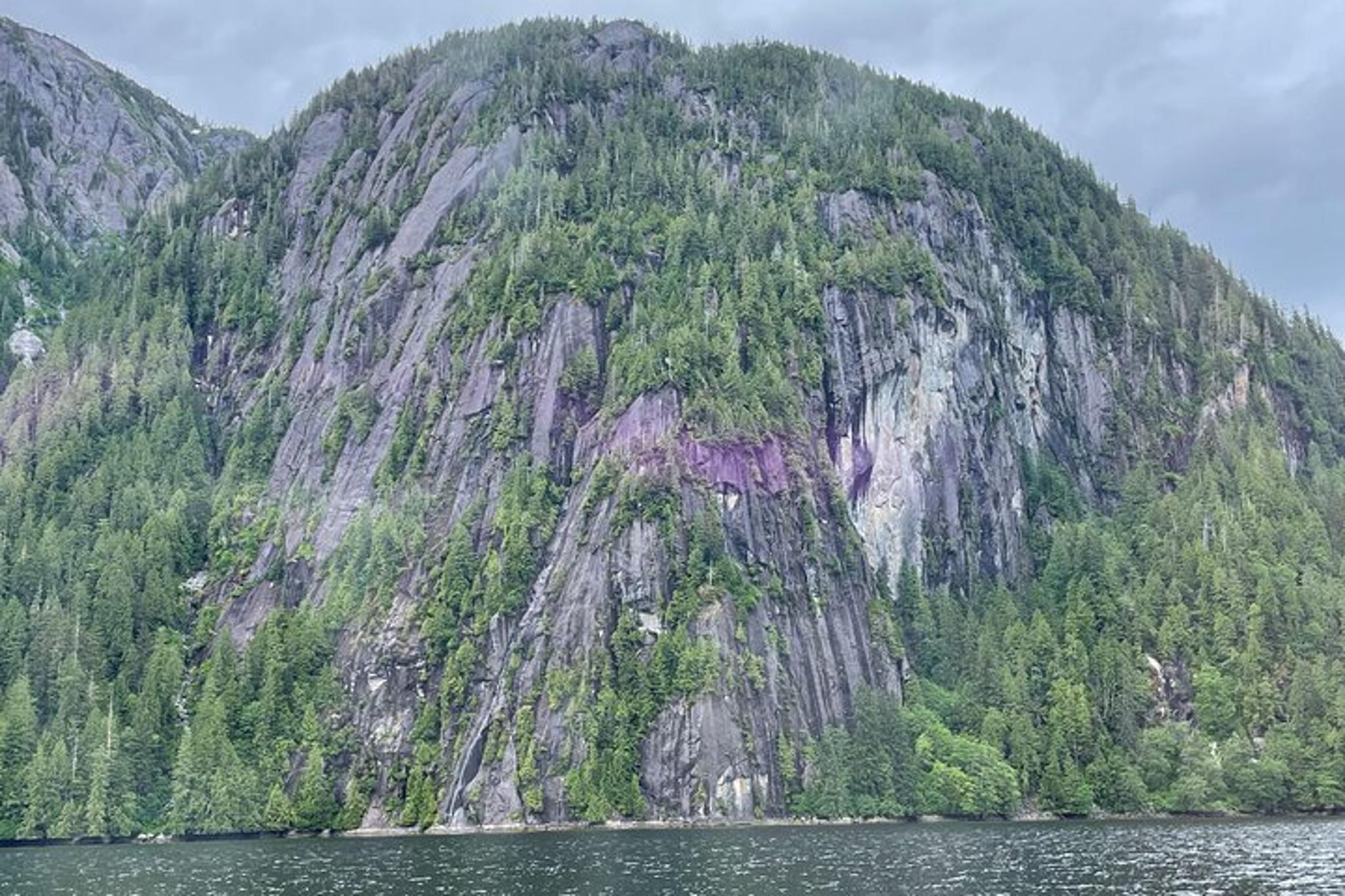 Ketchikan Misty Fjords Boat Expedition - Image 6
