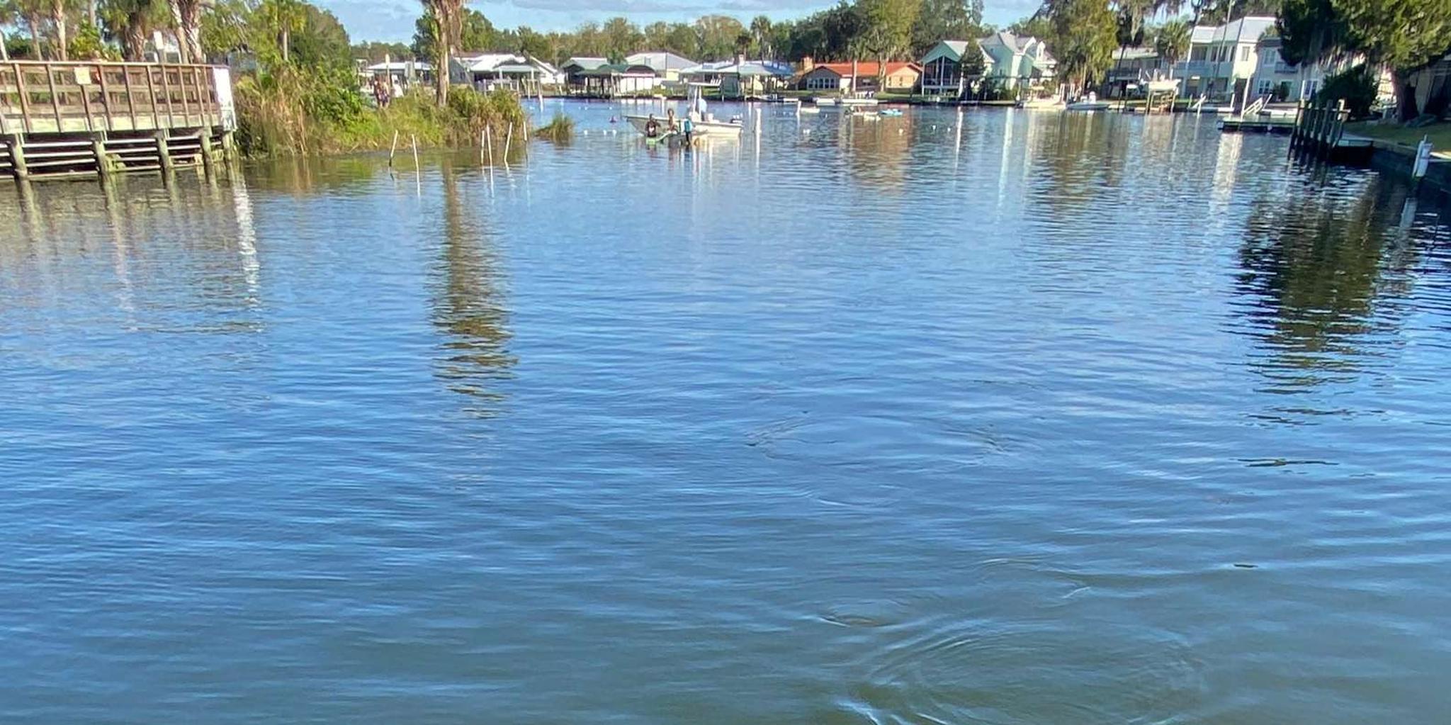 Crystal River Manatee Eco-Tour Boat Ride - Image 5