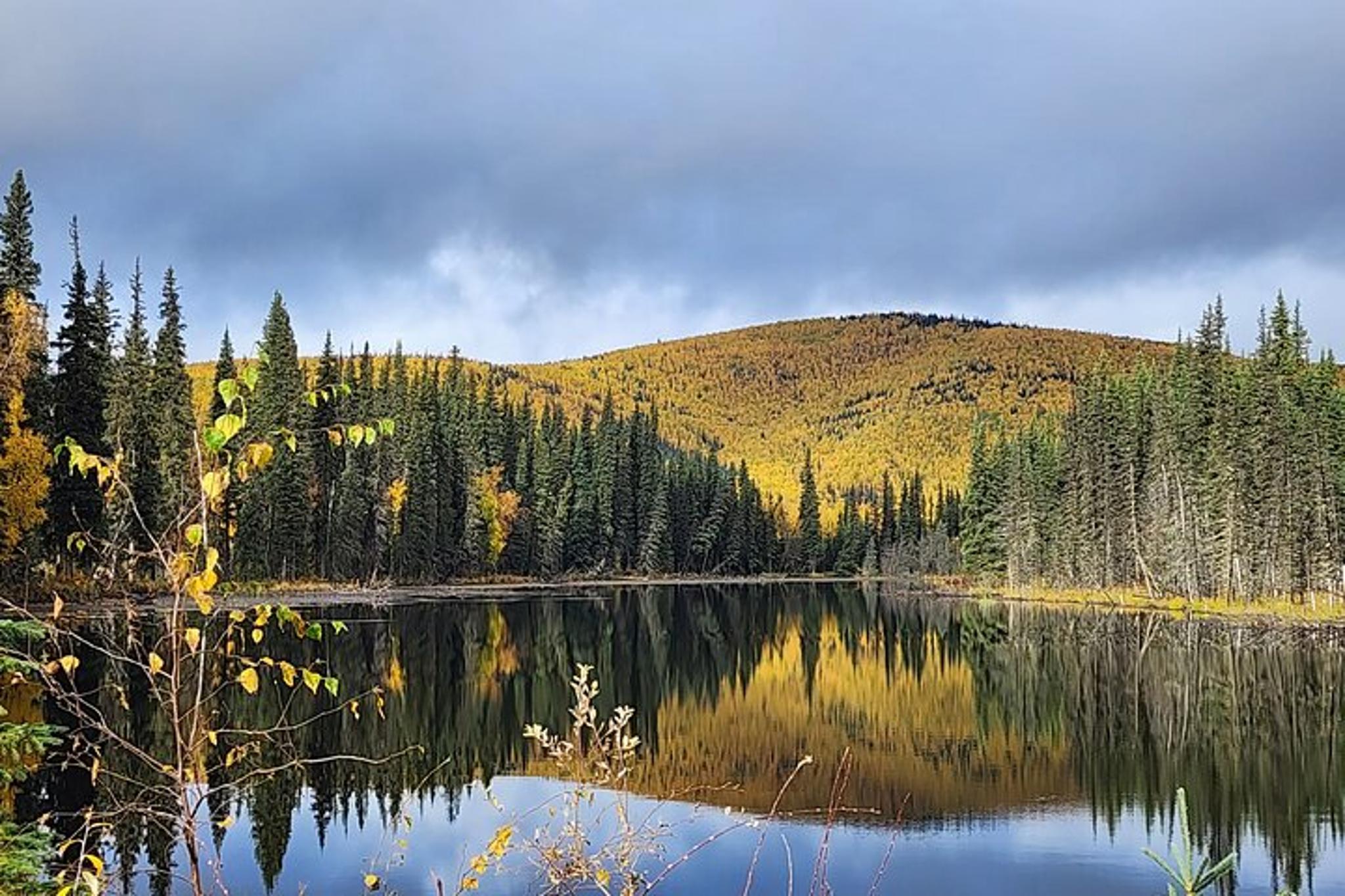 Fairbanks Angel Rocks Hike and Chena Hot Springs Tour
