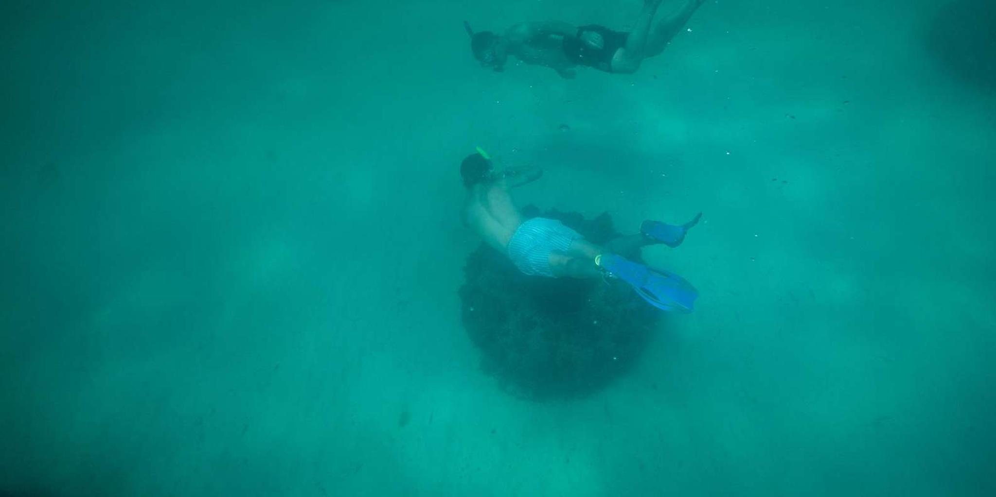 Destin Reef Snorkeling Adventure - Image 5