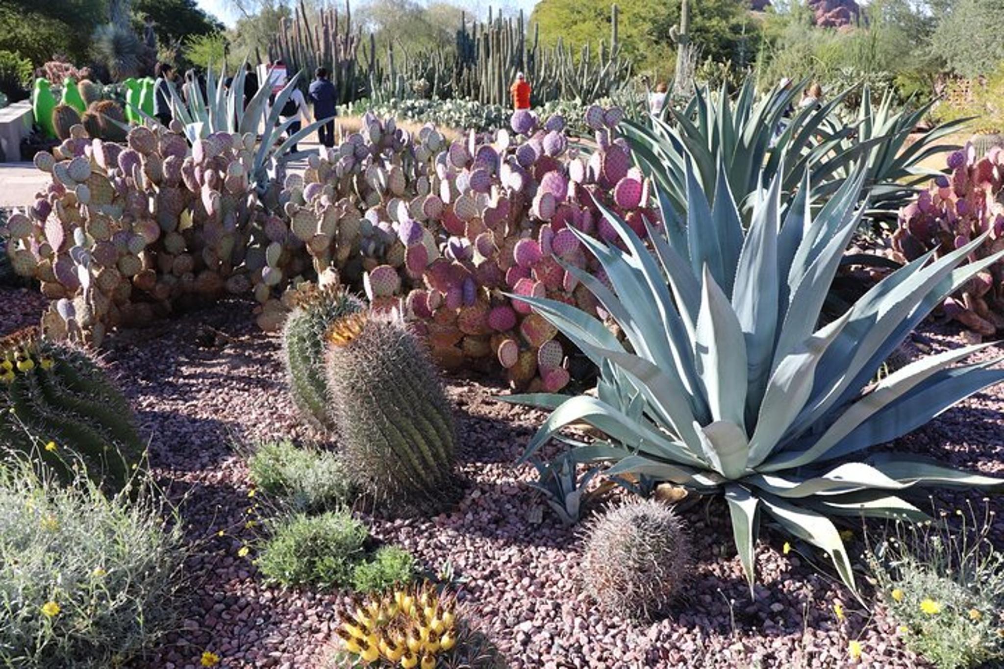 Tucson Self-Guided Audio Driving Tour Bundle - Image 5