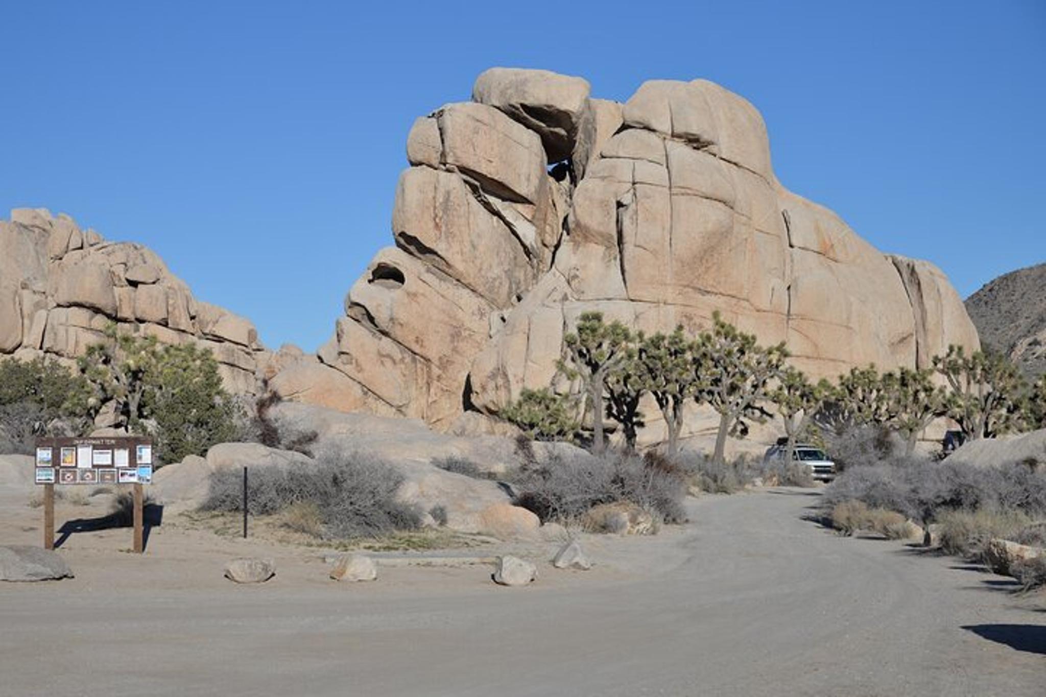 Los Angeles Joshua Tree National Park Private Tour 2 Days - Image 4
