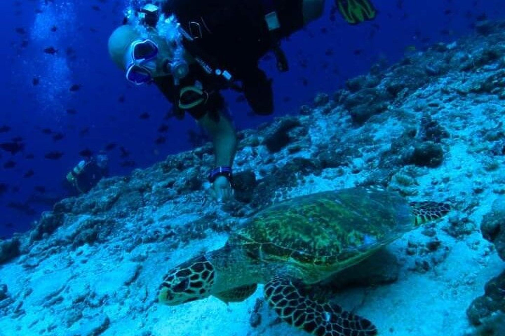 Maui Scuba Lesson and Shore Dive - Image 3