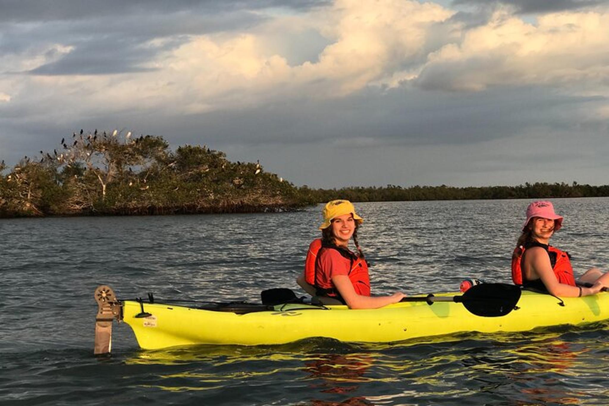 Naples Kayak Tour at Rookery Bay 2 hr - Image 2